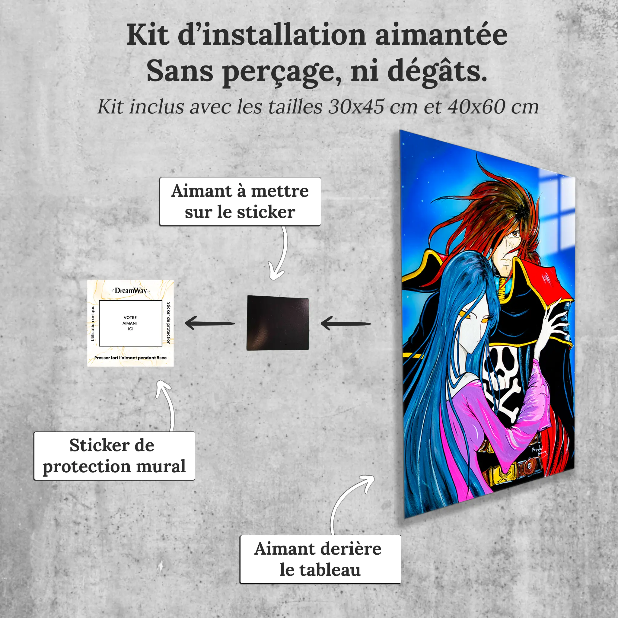 tableau-albator-et-miime-avec-installation-aimantee | DreamWay