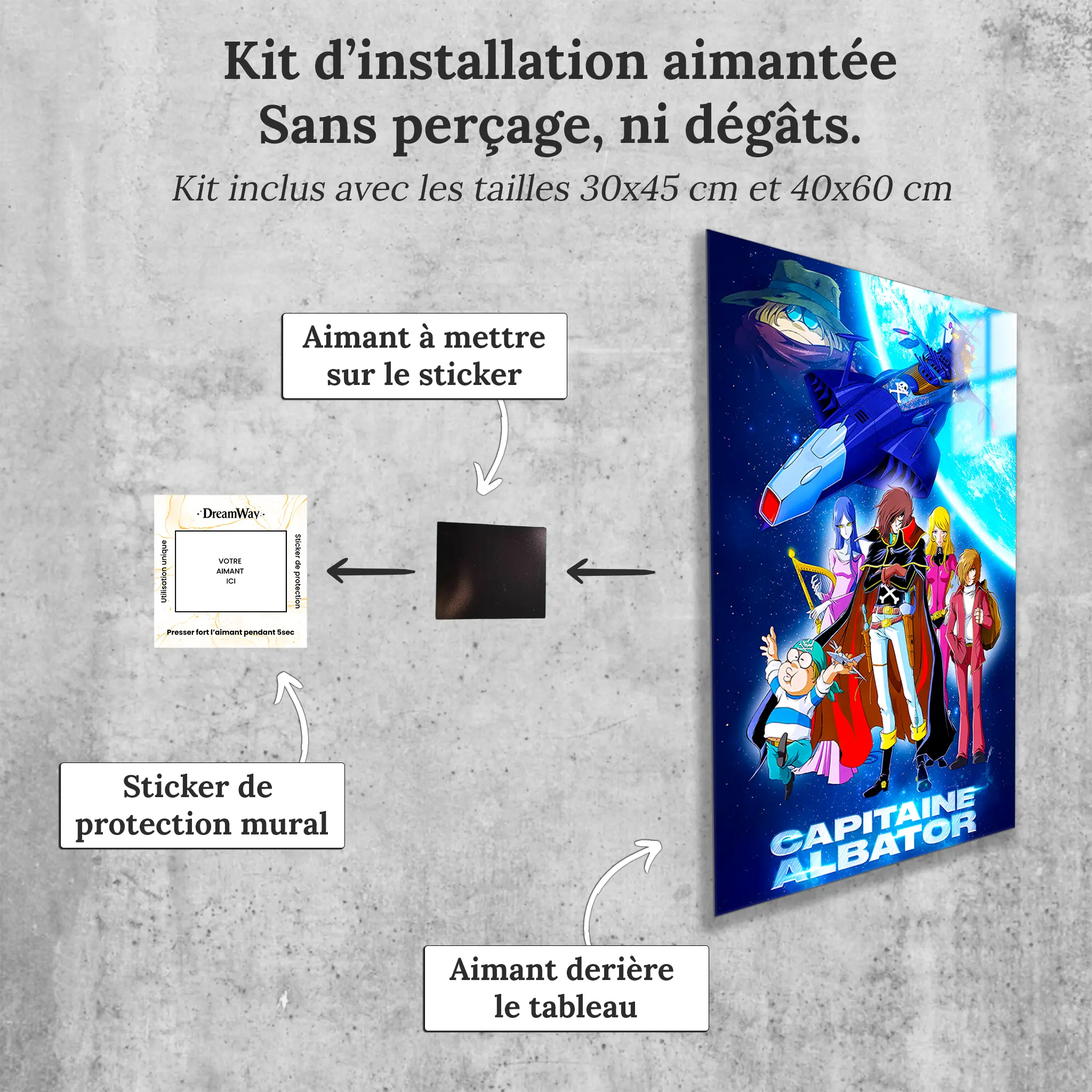 tableau-albator-et-son-equipage-avec-installation-aimantee | DreamWay