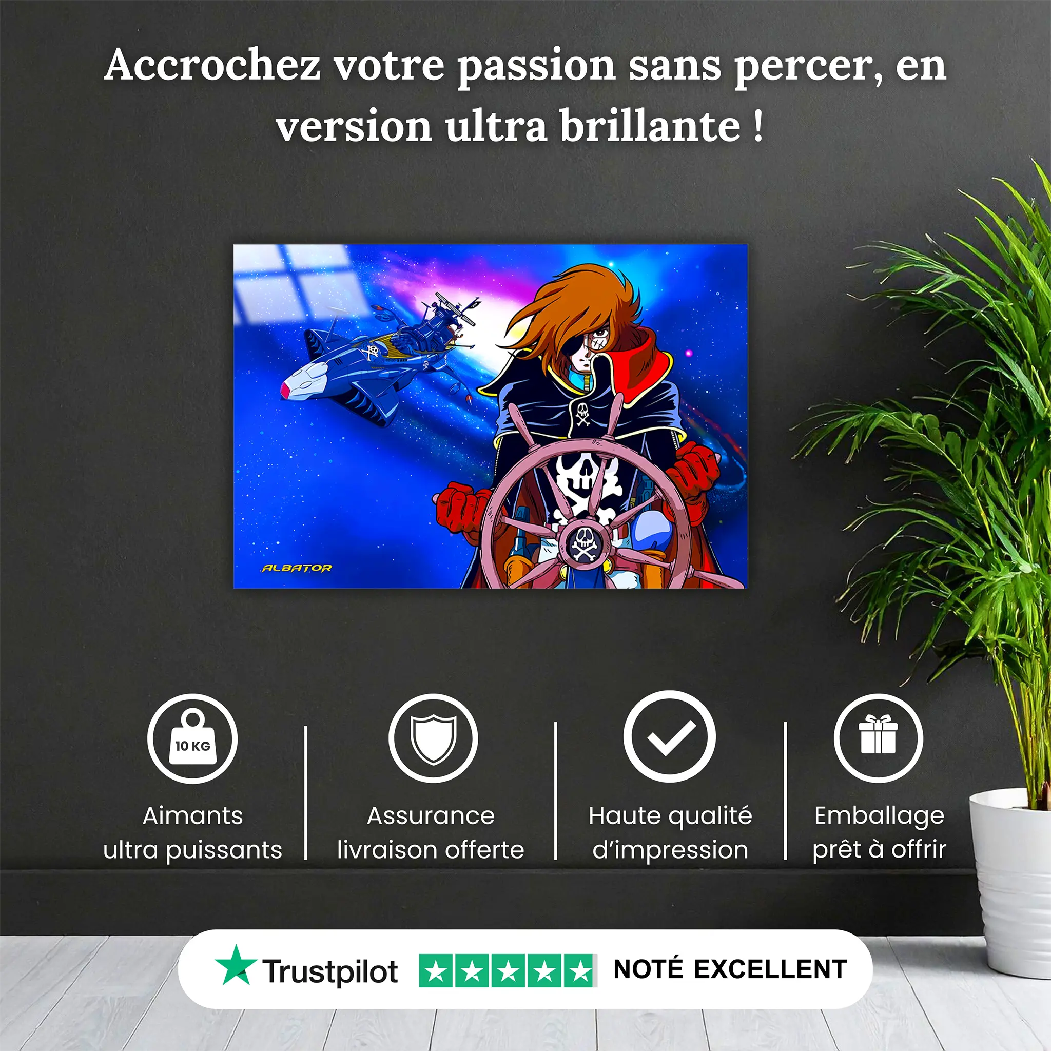 tableau-albator-et-son-vaisseau-arcadia-pourquoi-acheter | DreamWay