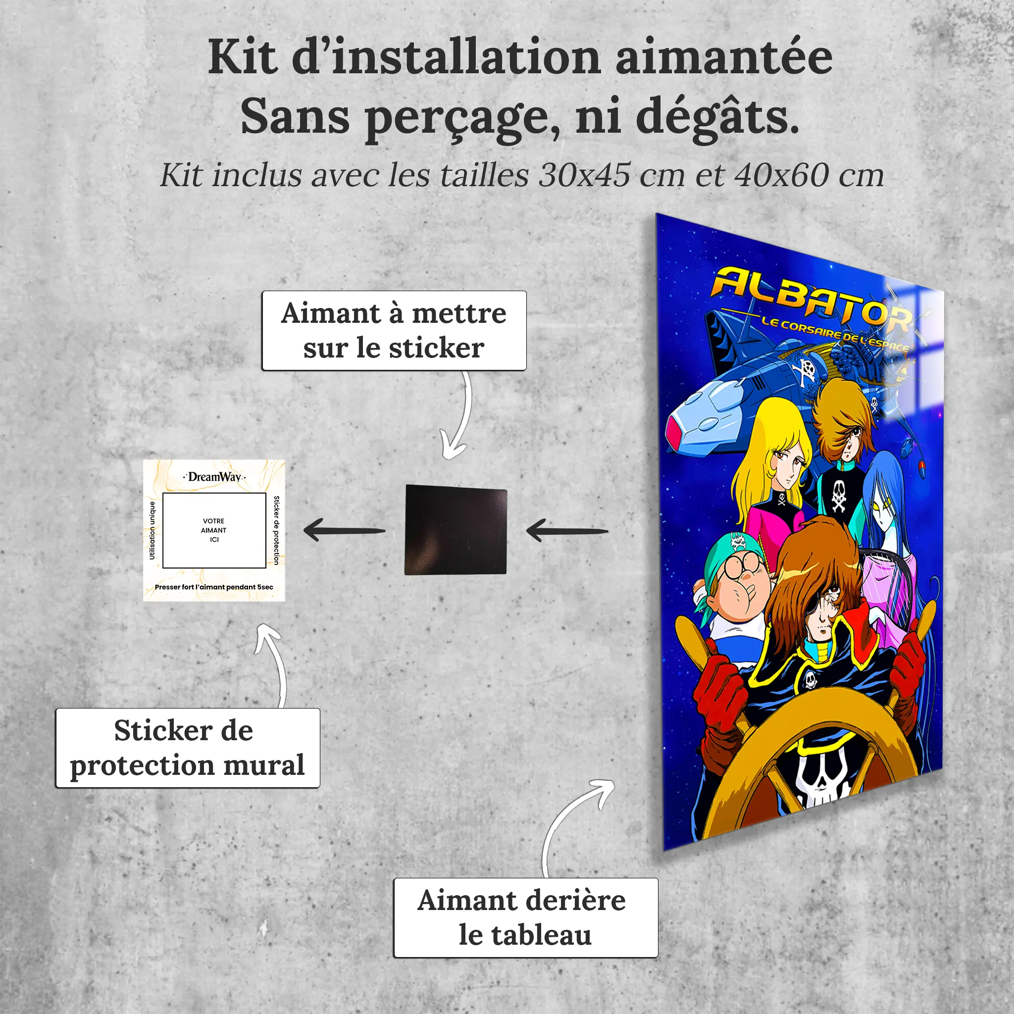 tableau-albator-le-corsaire-de-l-espace-avec-installation-aimantee | DreamWay