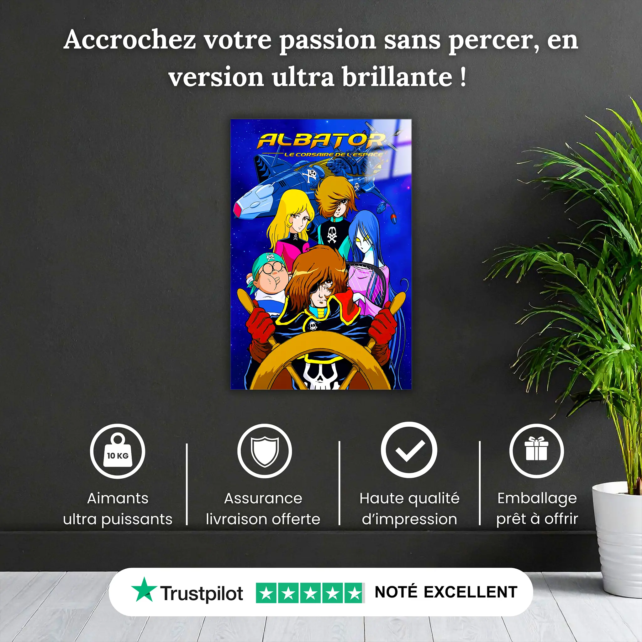 tableau-albator-le-corsaire-de-l-espace-pourquoi-acheter | DreamWay