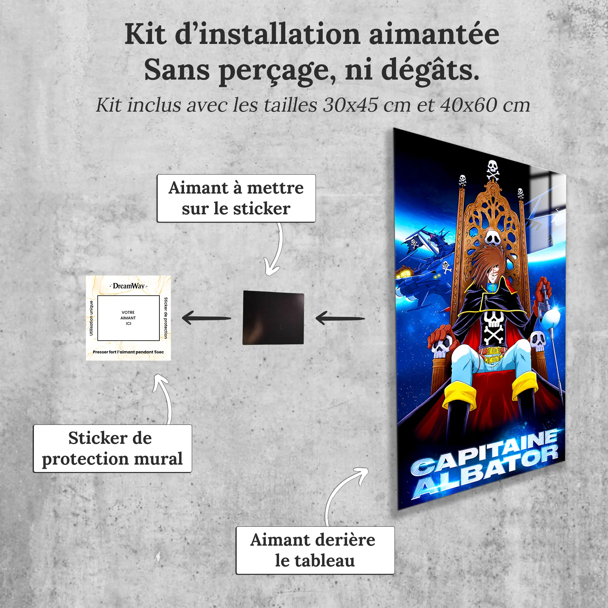 tableau-albator-sur-son-trone-avec-installation-aimantee | DreamWay