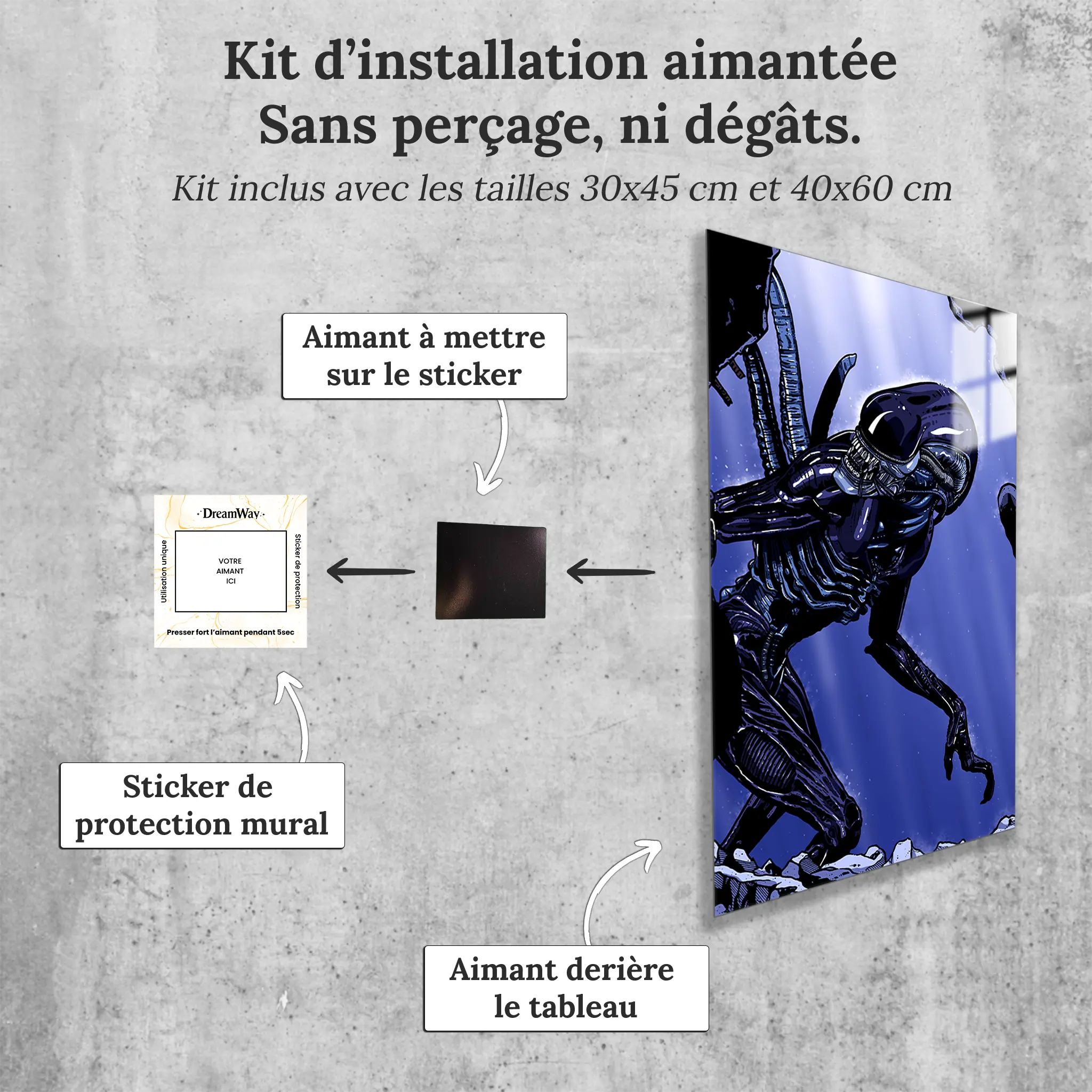 tableau-alien-avec-installation-aimantee | DreamWay
