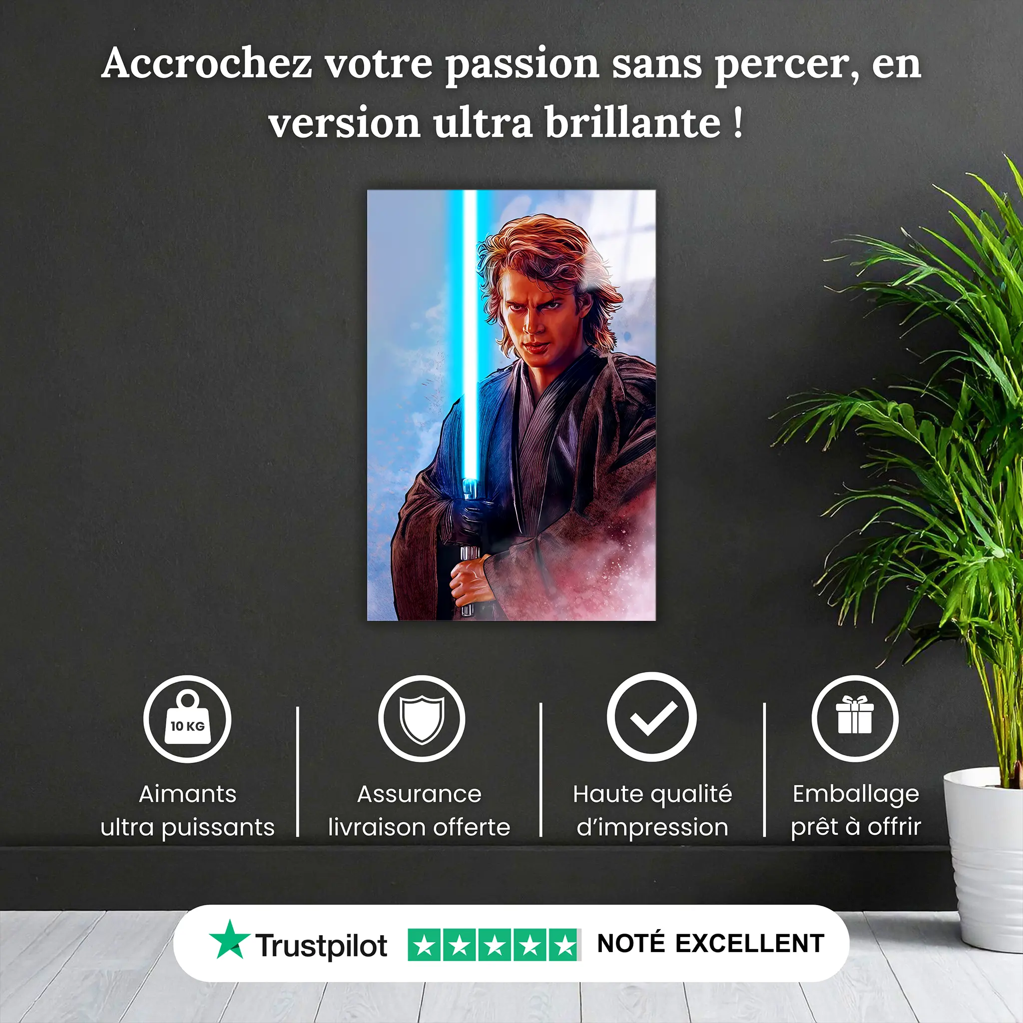 tableau-anakin-skywalker-pourquoi-acheter | DreamWay