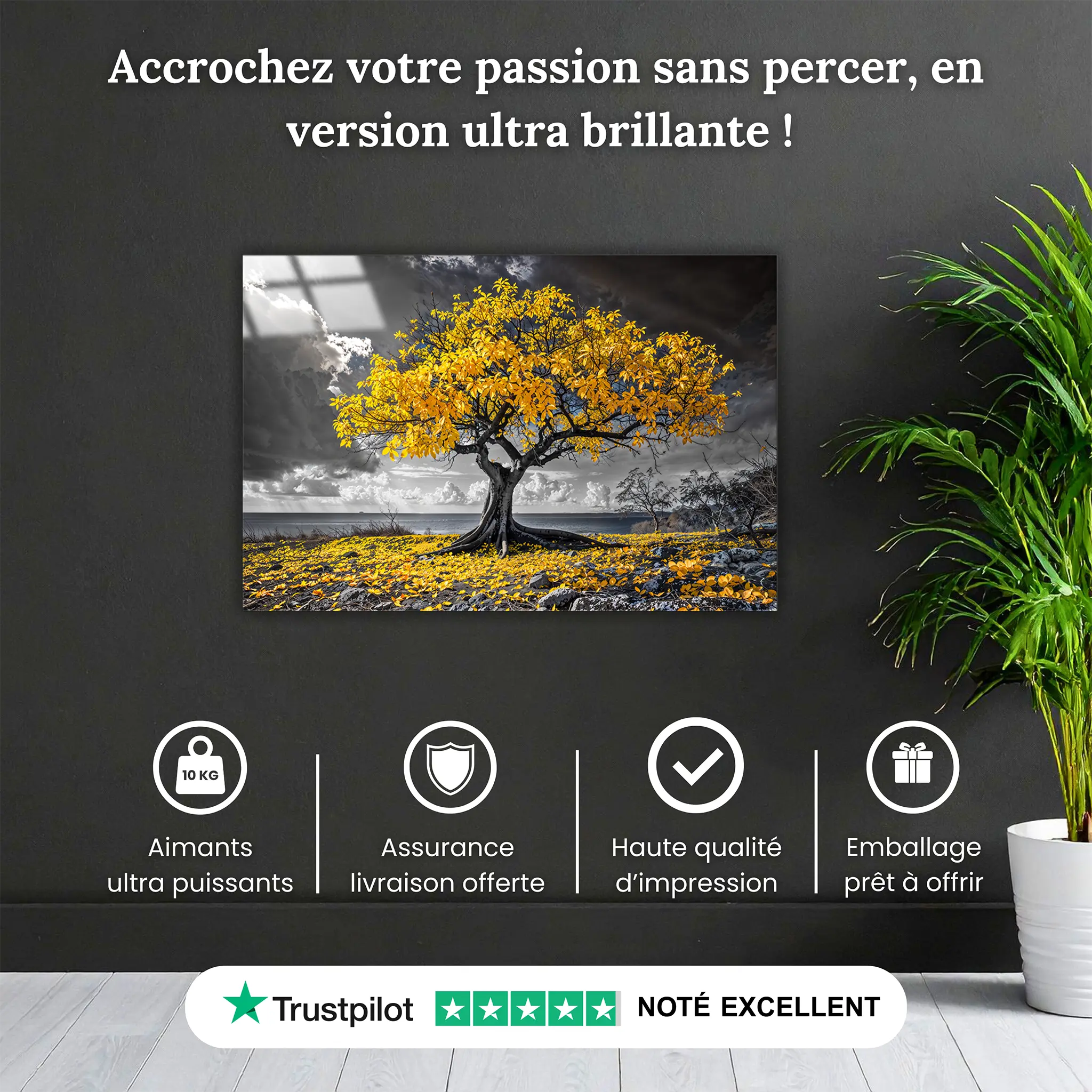 tableau-arbre-de-vie-blanc-jaune-pourquoi-acheter | DreamWay