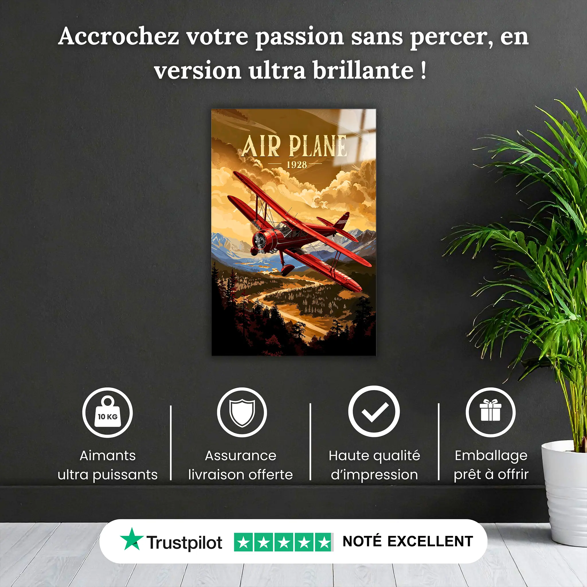 tableau-avion-vintage-pourquoi-acheter | DreamWay
