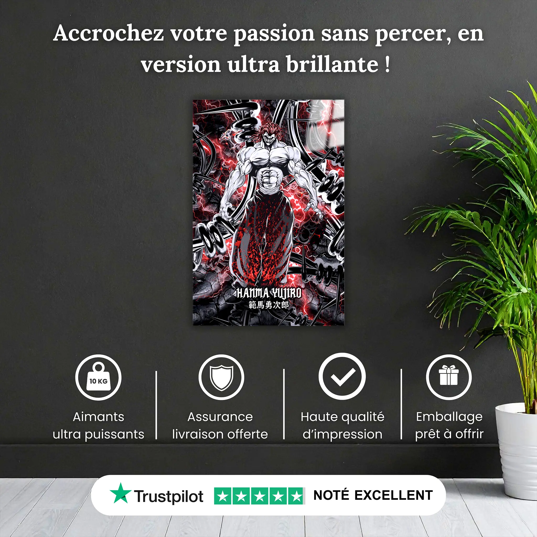 tableau-baki-yujiro-hanma-pourquoi-acheter | DreamWay