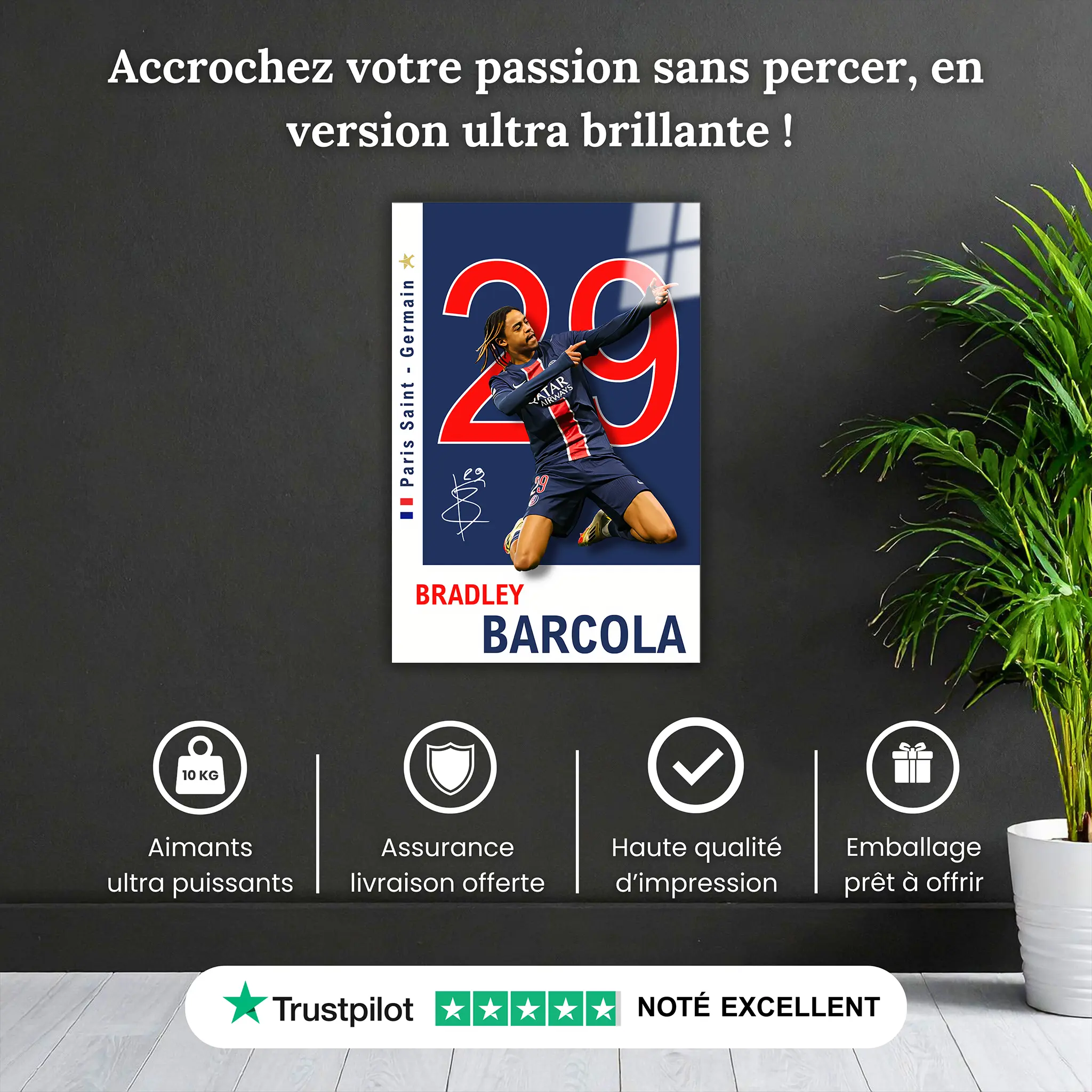 tableau-barcola-psg-pourquoi-acheter | DreamWay