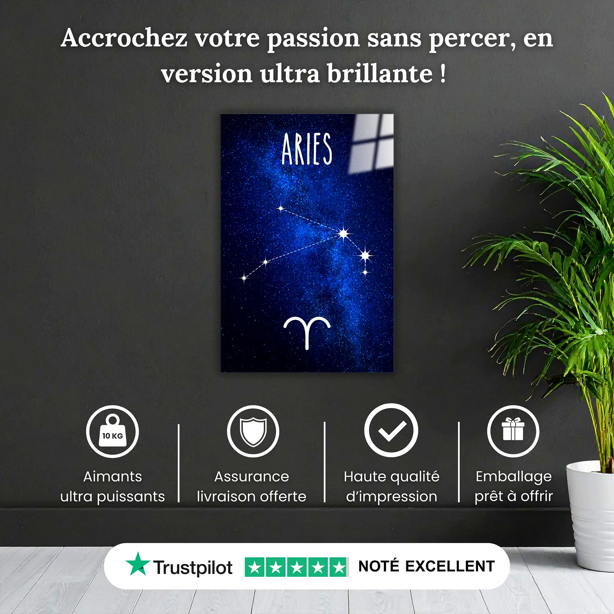tableau-belier-constellation-pourquoi-acheter | DreamWay