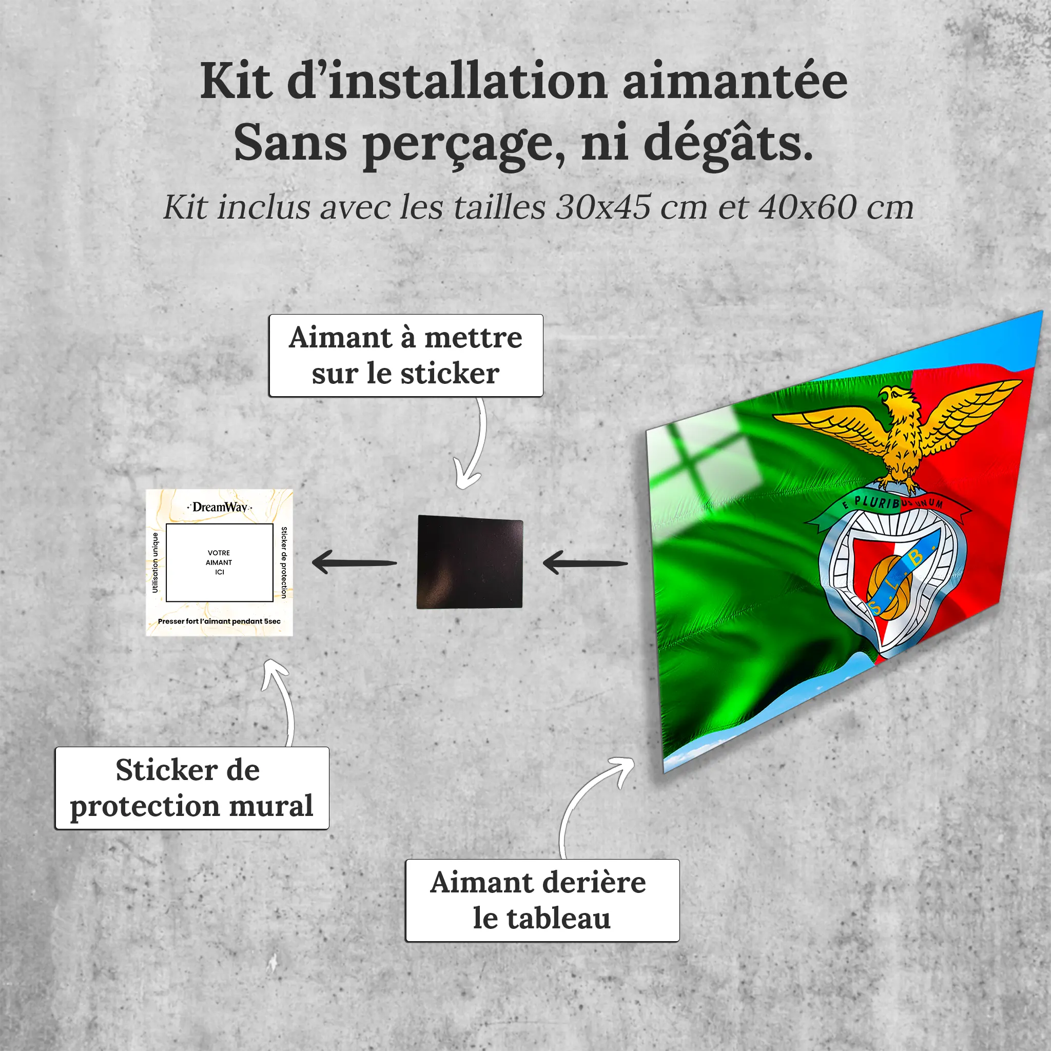 tableau-benfica-club-avec-installation-aimantee | DreamWay