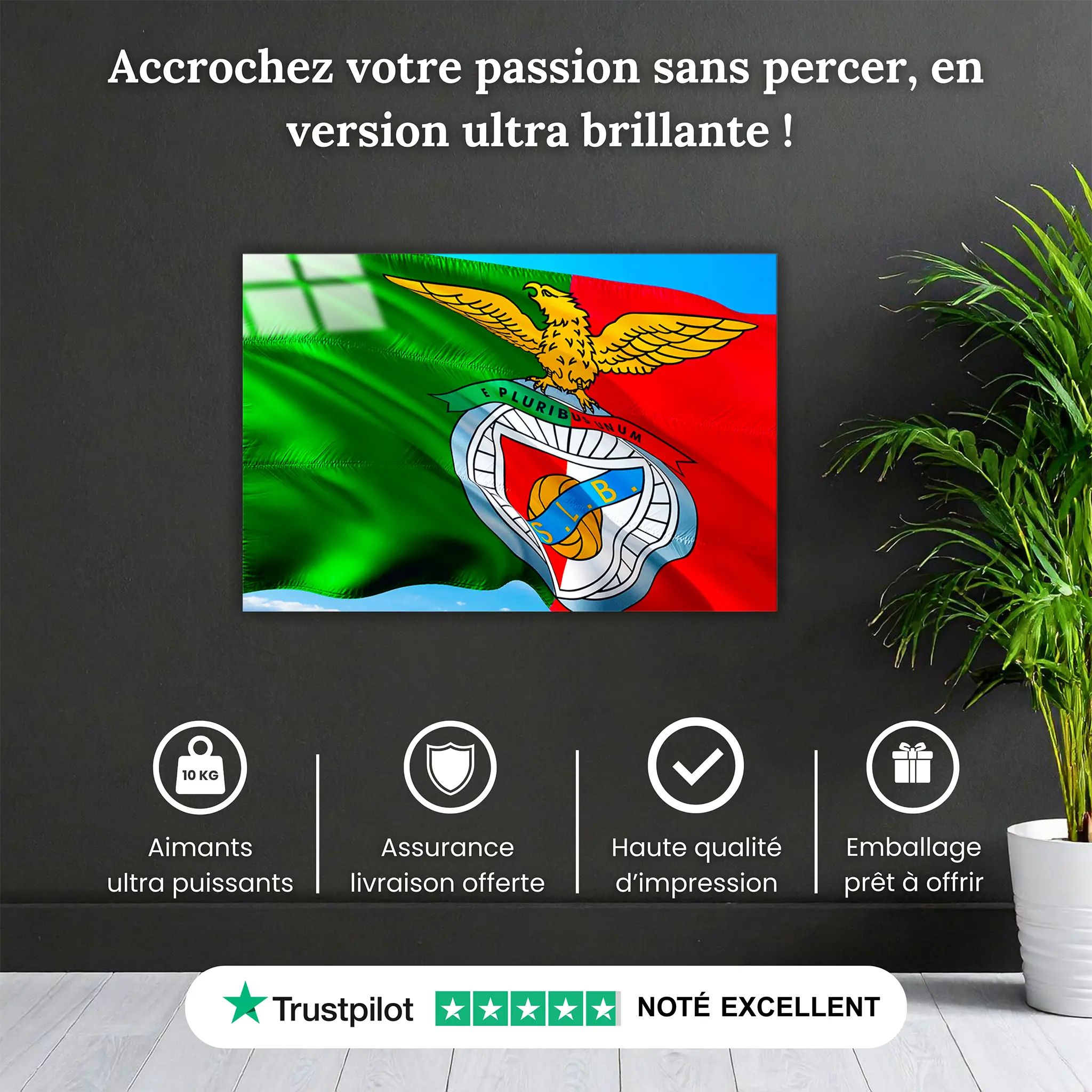tableau-benfica-club-pourquoi-acheter | DreamWay