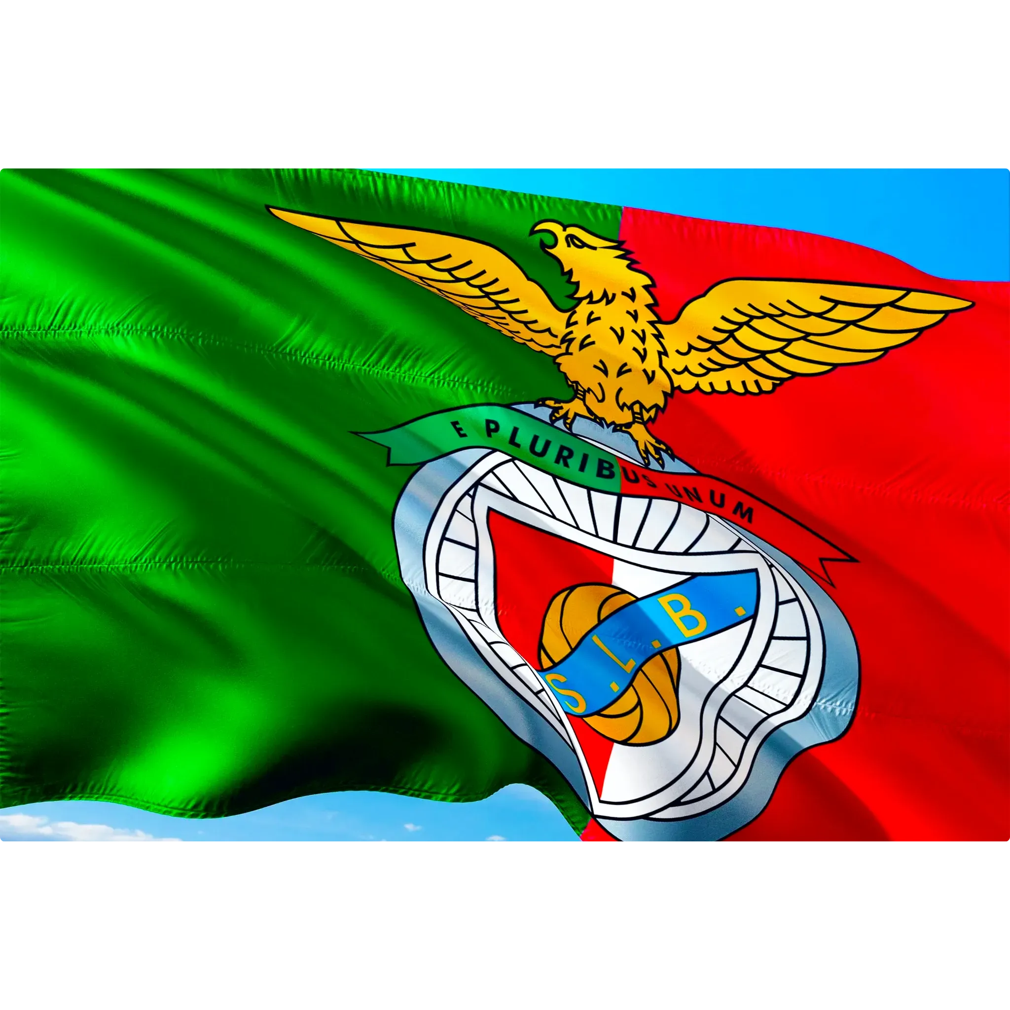 Tableau Benfica Club