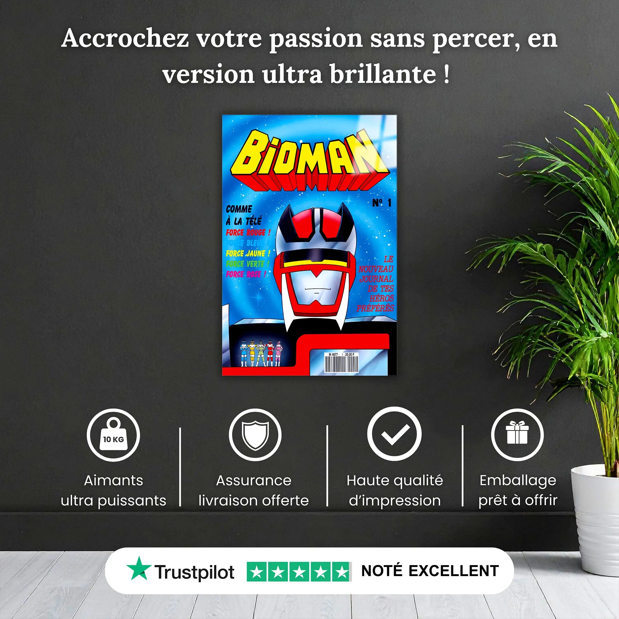Tableau Bioman Affiche