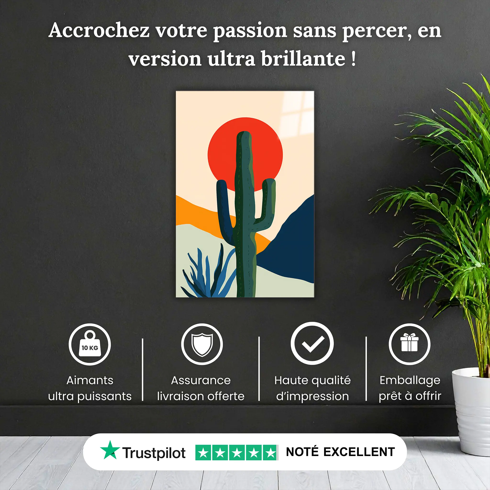 tableau-boheme-cactus-pourquoi-acheter | DreamWay
