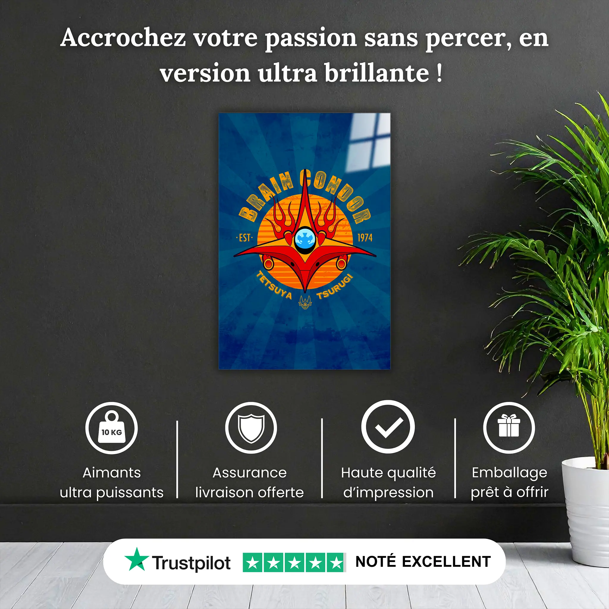 tableau-brain-condor-pourquoi-acheter | DreamWay