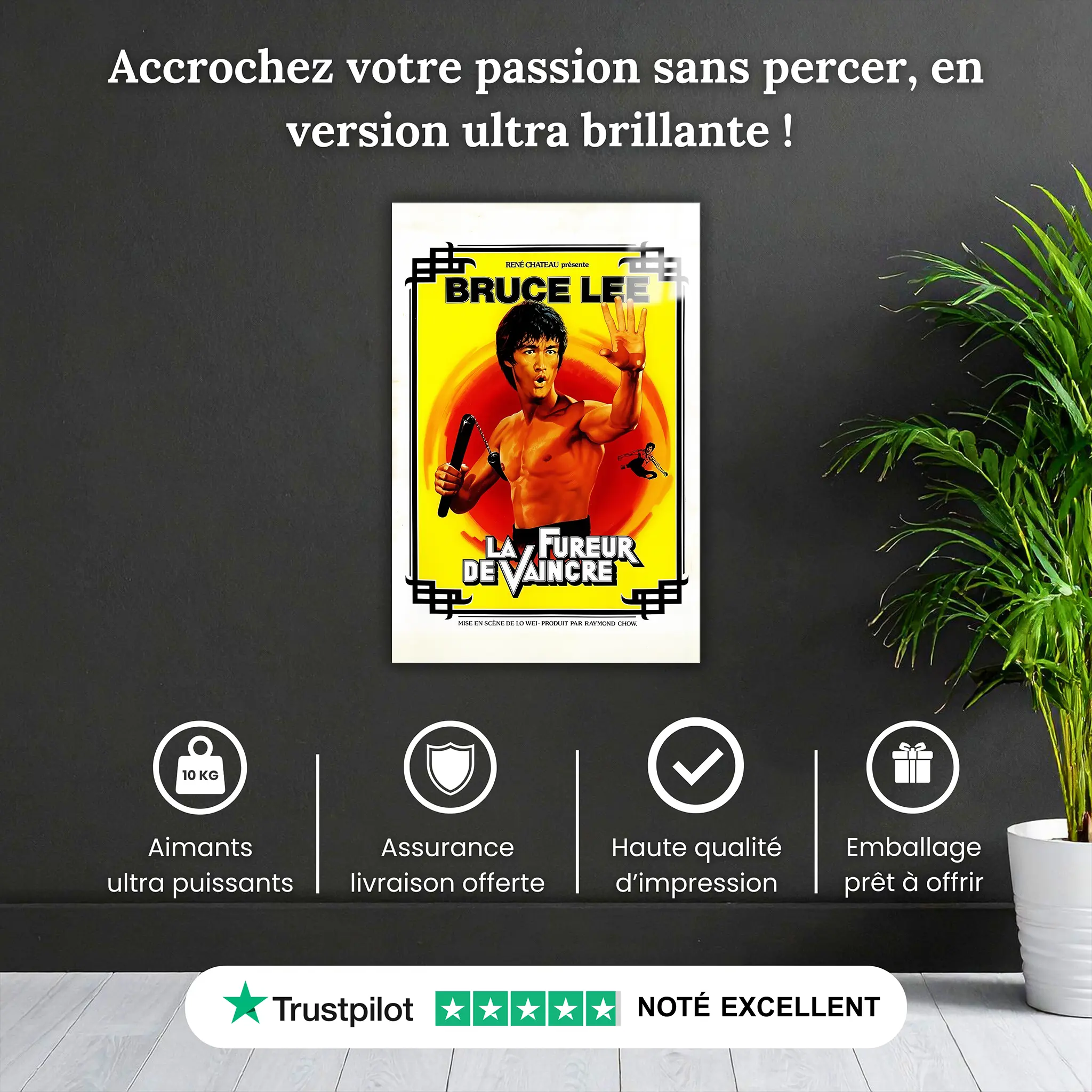 Tableau Bruce Lee Affiche
