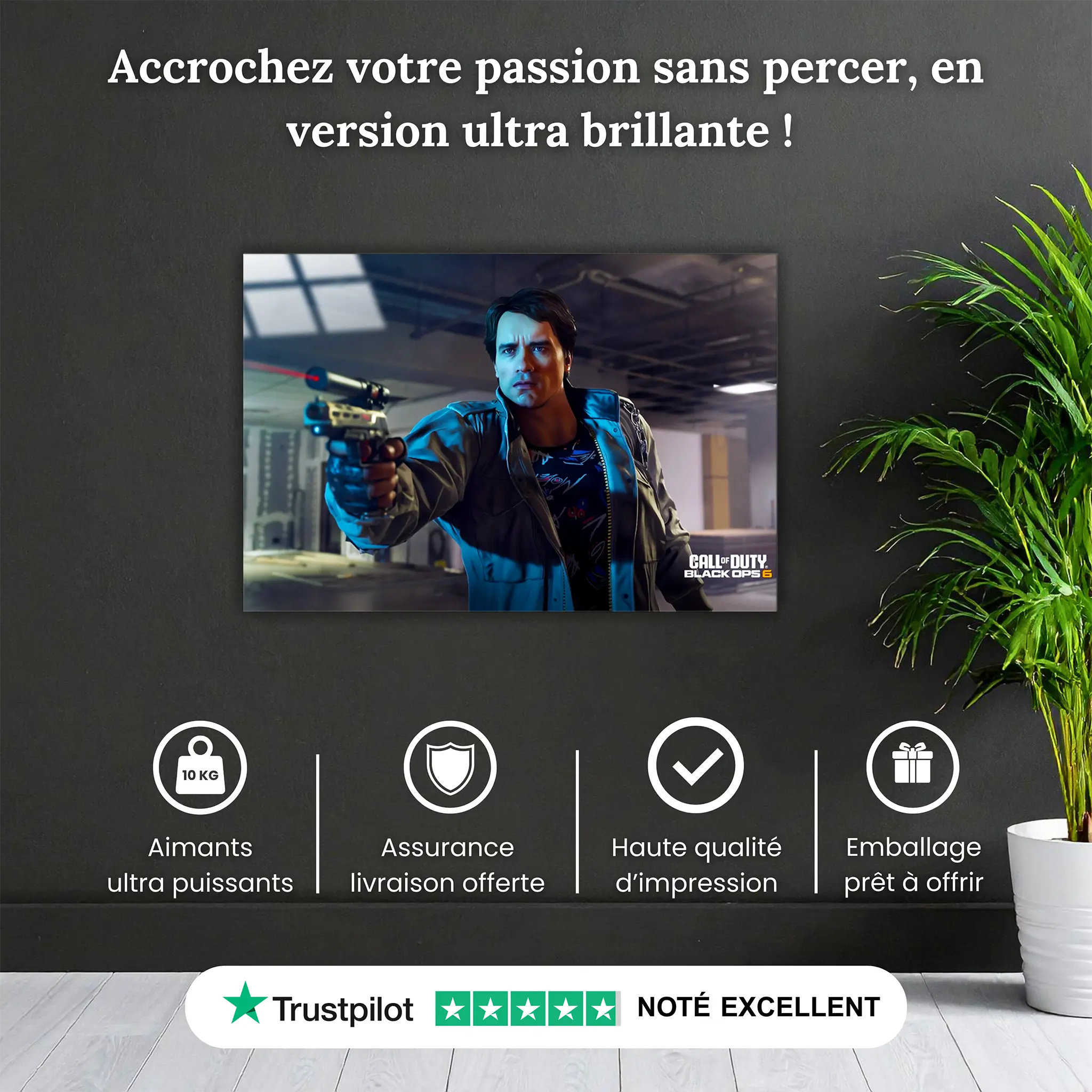 tableau-call-of-duty-black-op-terminator-pourquoi-acheter | DreamWay