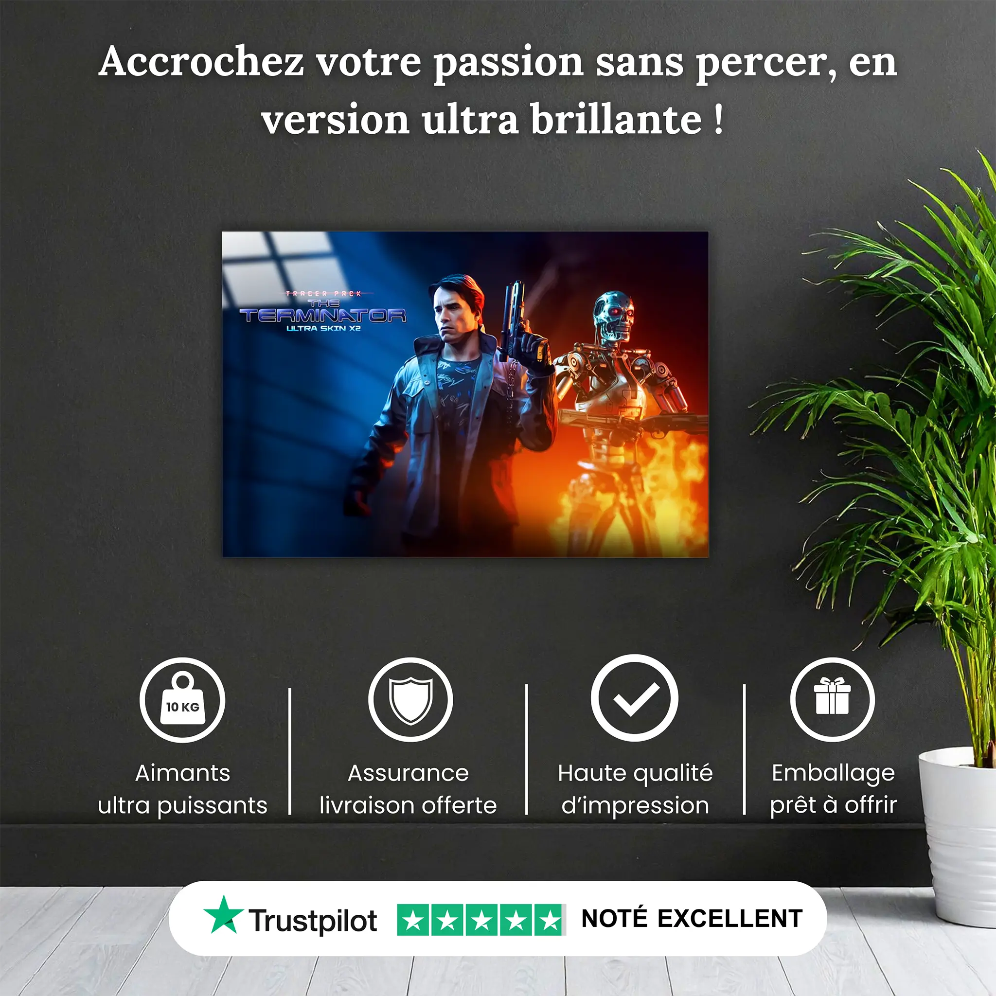 tableau-call-of-duty-terminator-shin-pourquoi-acheter | DreamWay