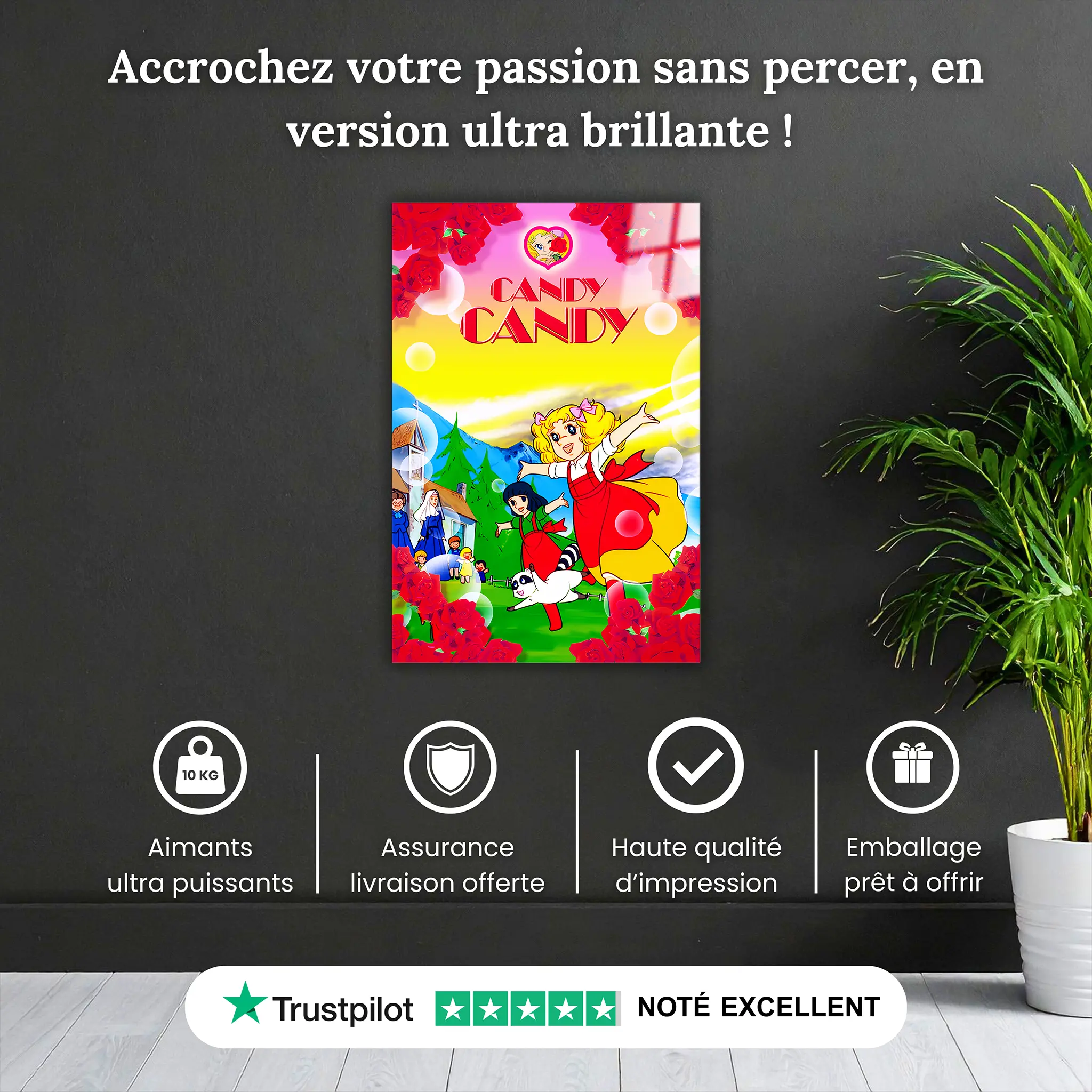 tableau-candy-candy-fleurie-pourquoi-acheter | DreamWay