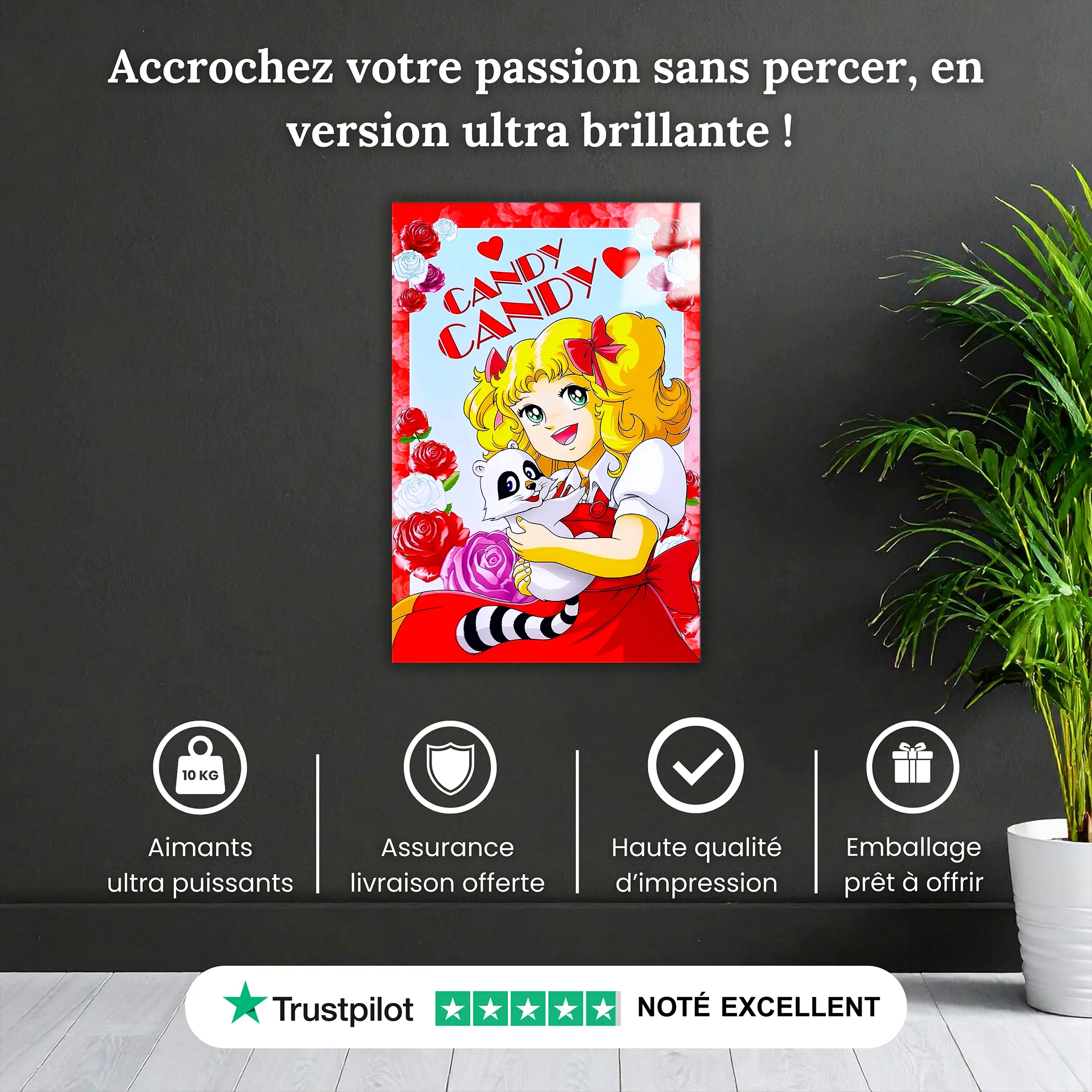 tableau-candy-et-capucin-pourquoi-acheter | DreamWay