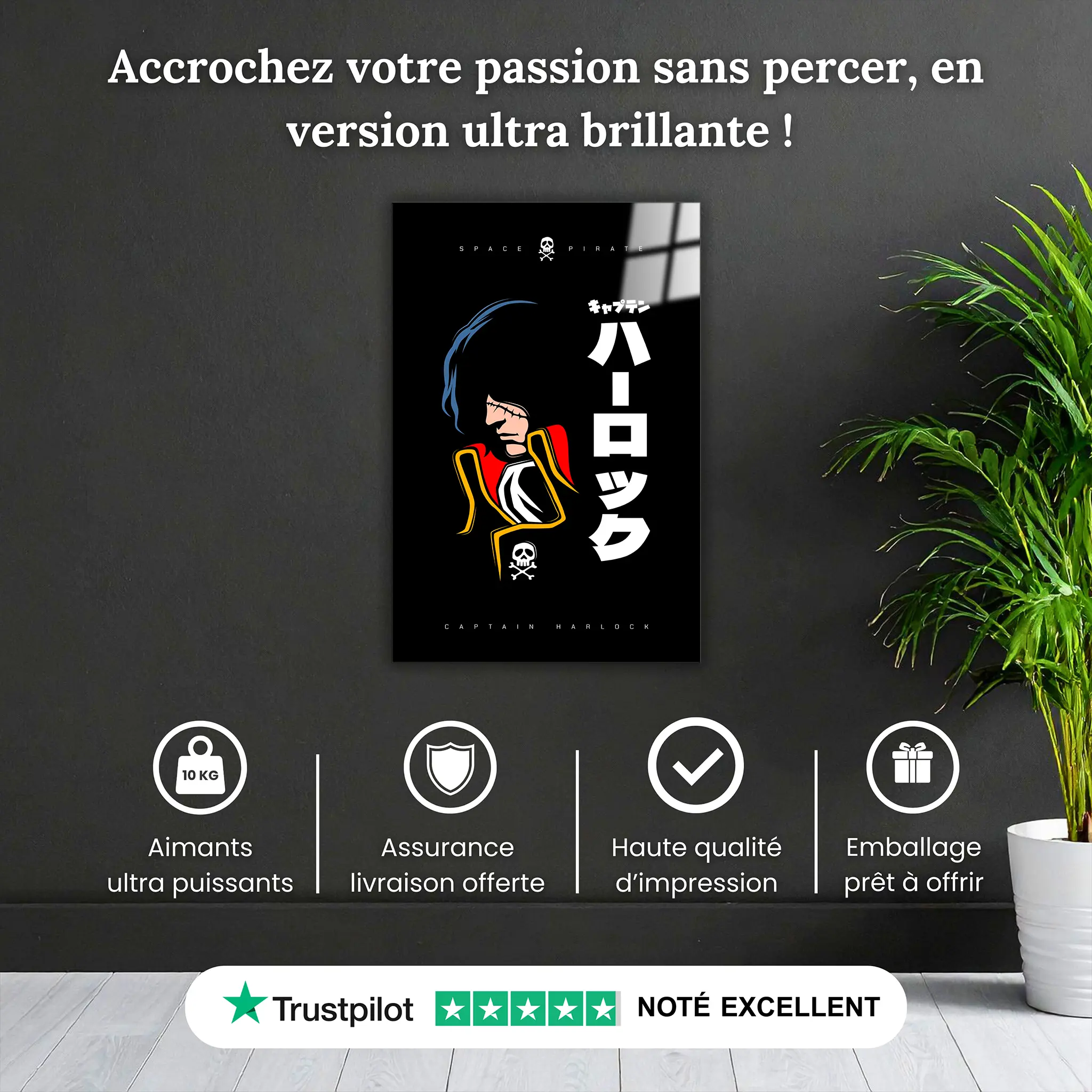 tableau-capitaine-harlock-albator-pourquoi-acheter | DreamWay