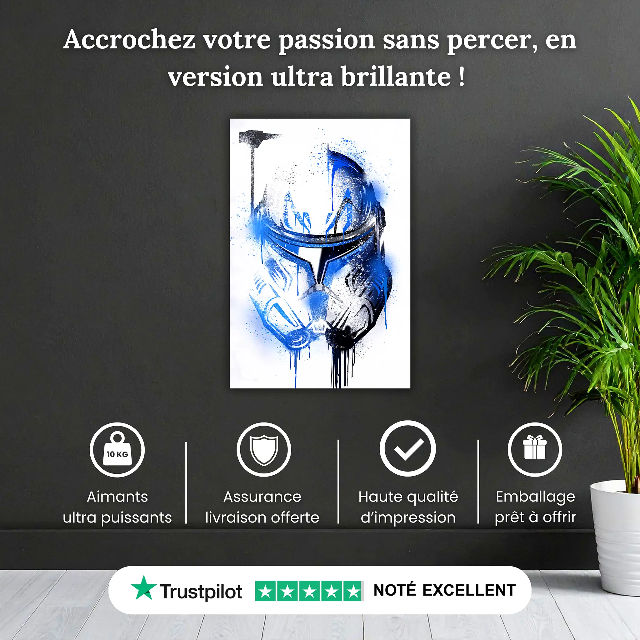 tableau-capitaine-rex-casque-pourquoi-acheter | DreamWay
