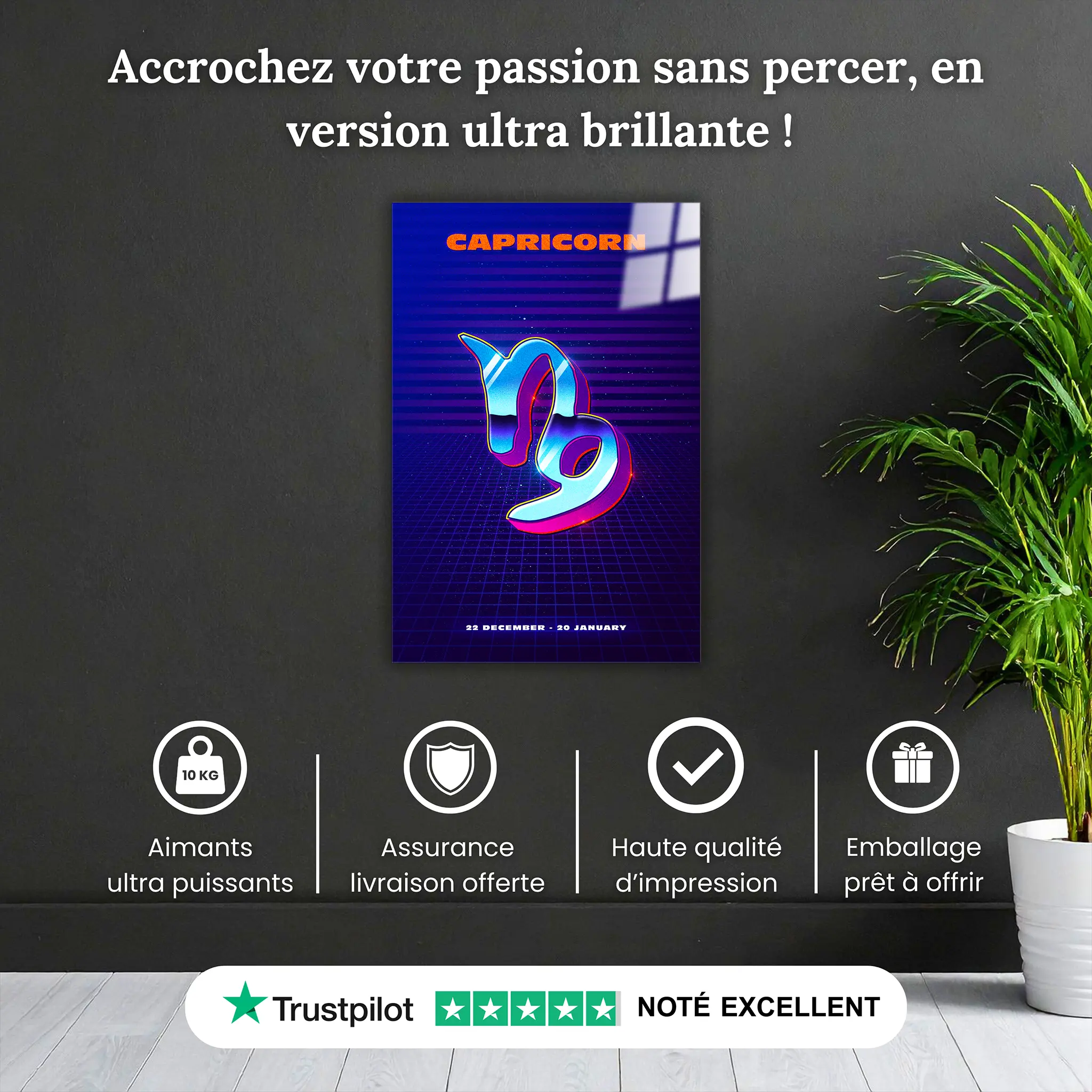 tableau-capricorne-retro-pourquoi-acheter | DreamWay
