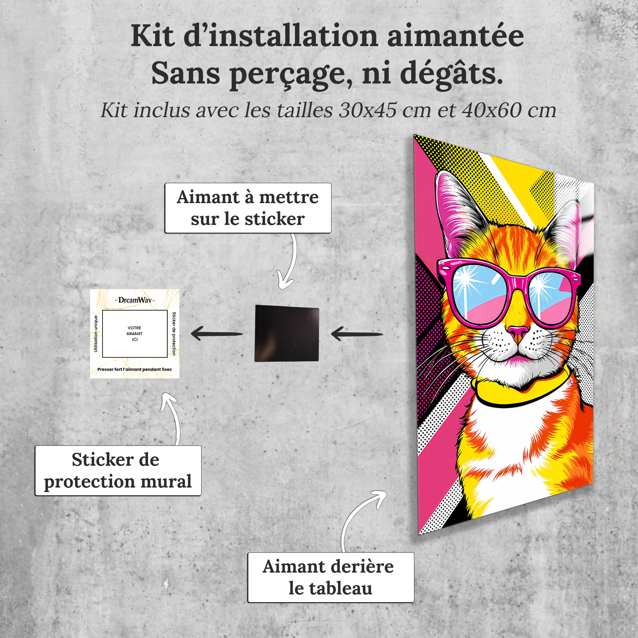 tableau-chat-pop-art-avec-installation-aimantee | DreamWay