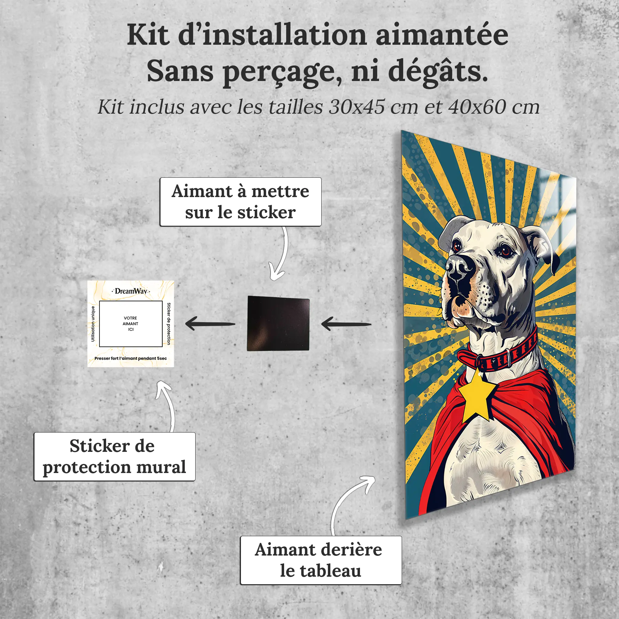 tableau-chien-pop-art-avec-installation-aimantee | DreamWay