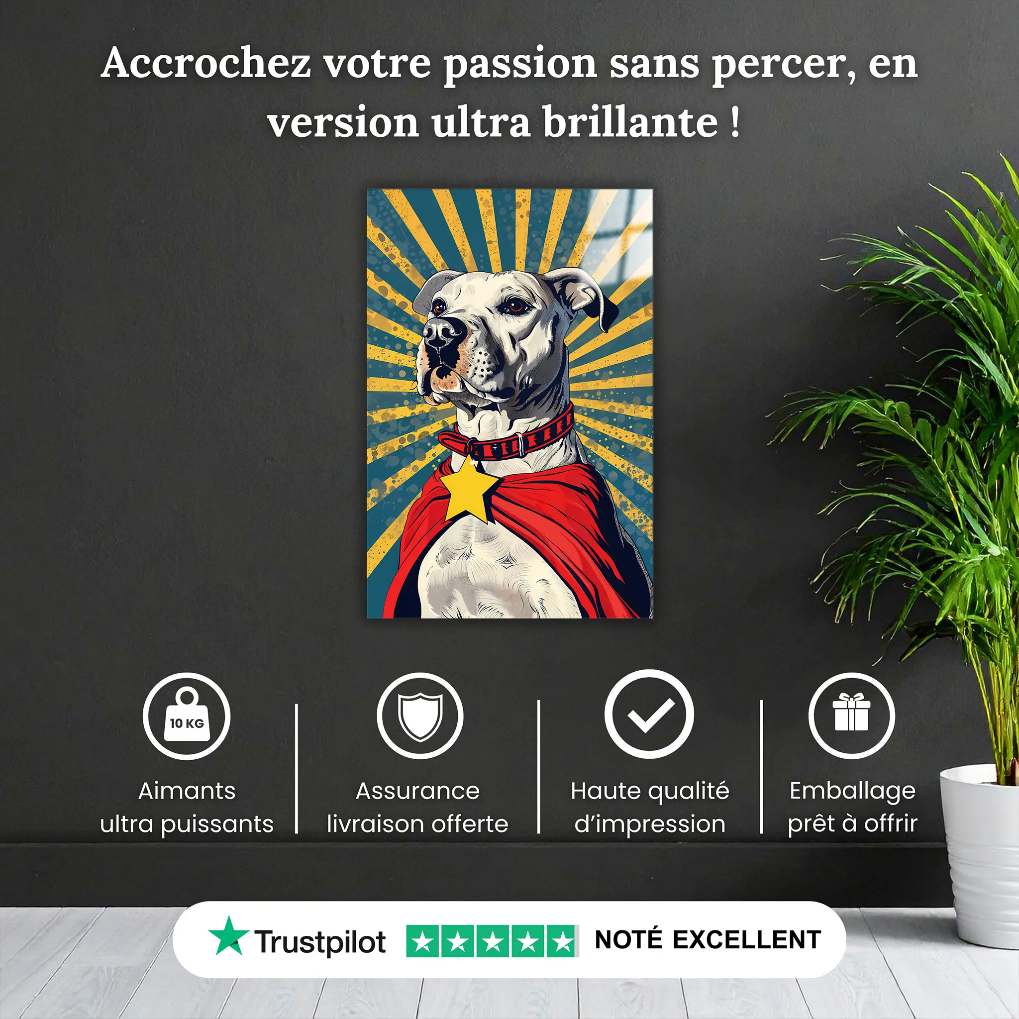 tableau-chien-pop-art-pourquoi-acheter | DreamWay