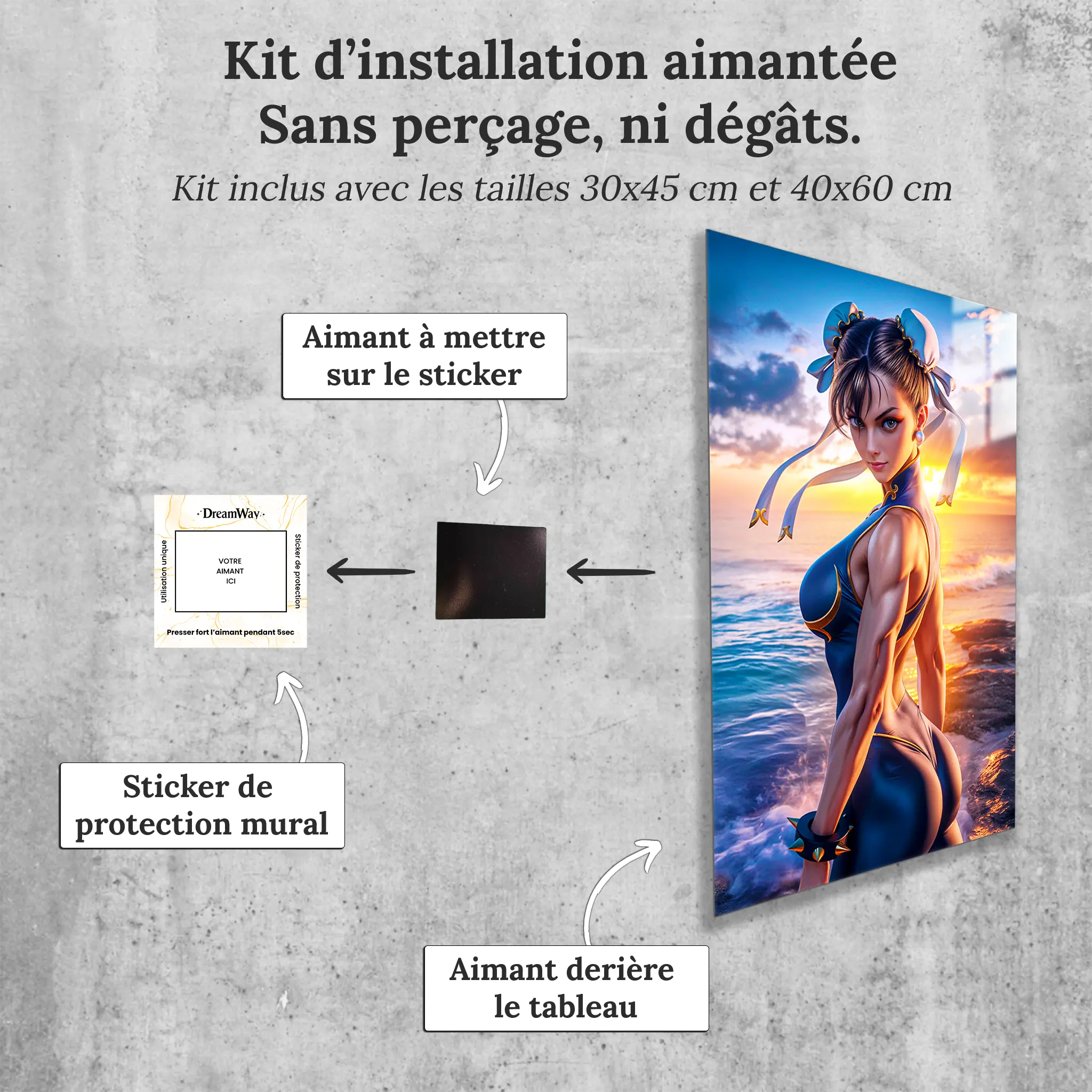 tableau-chun-li-street-fighter-realiste-avec-installation-aimantee | DreamWay