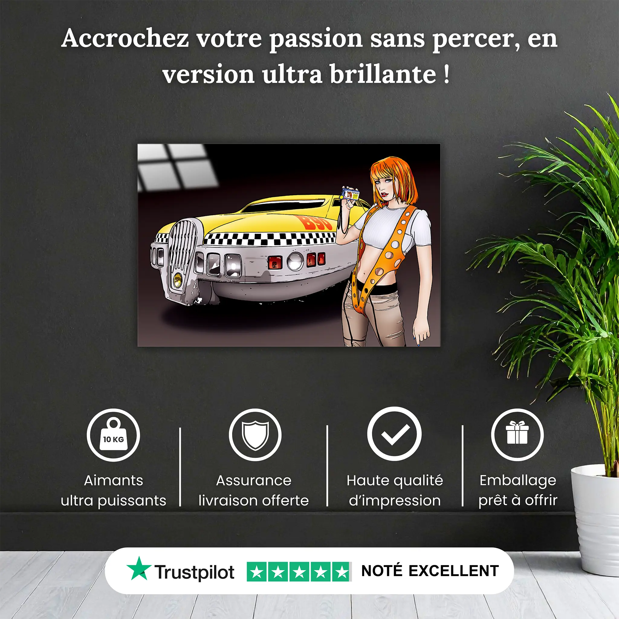 tableau-cinquieme-element-leeloo-pourquoi-acheter | DreamWay