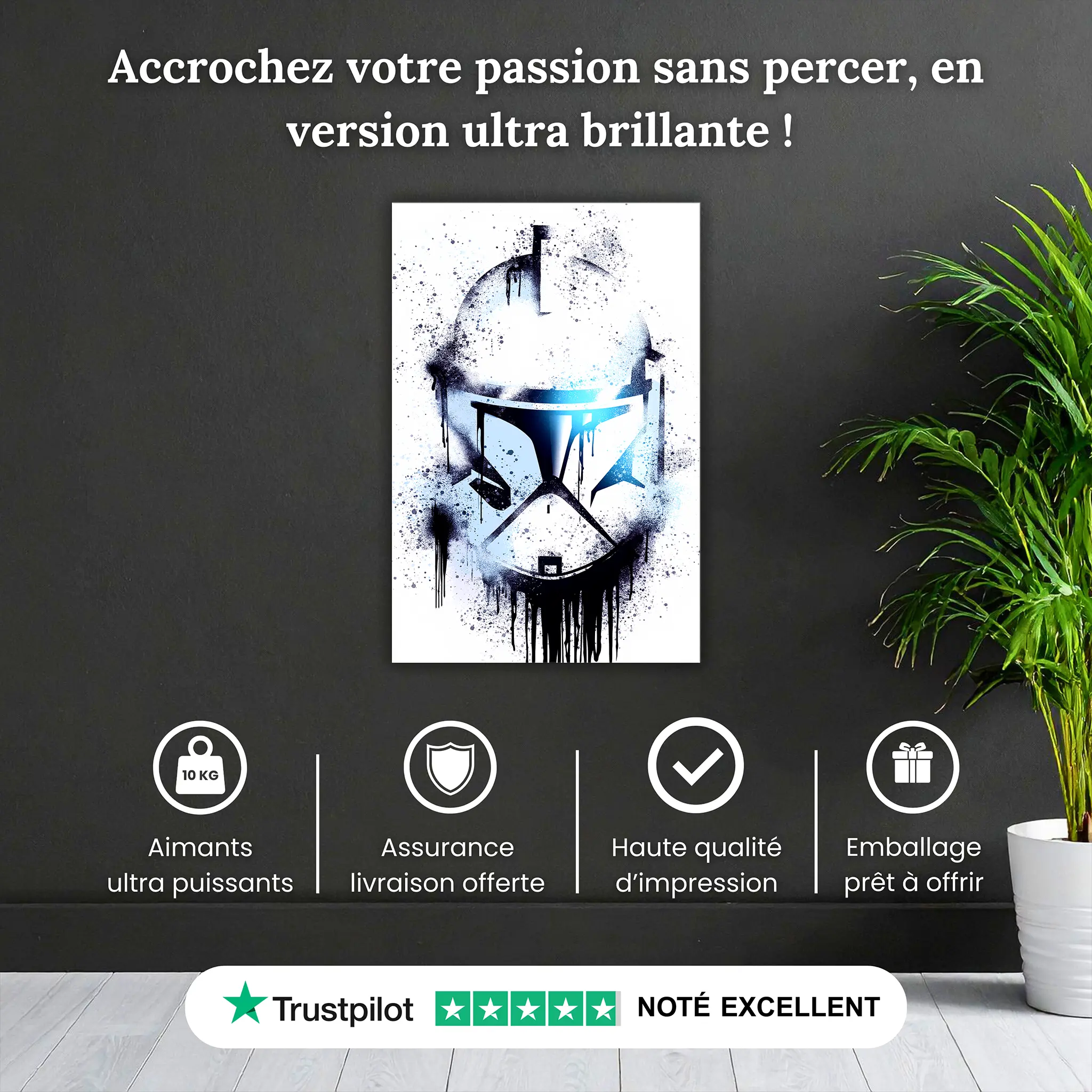 tableau-clone-trooper-casque-pourquoi-acheter | DreamWay