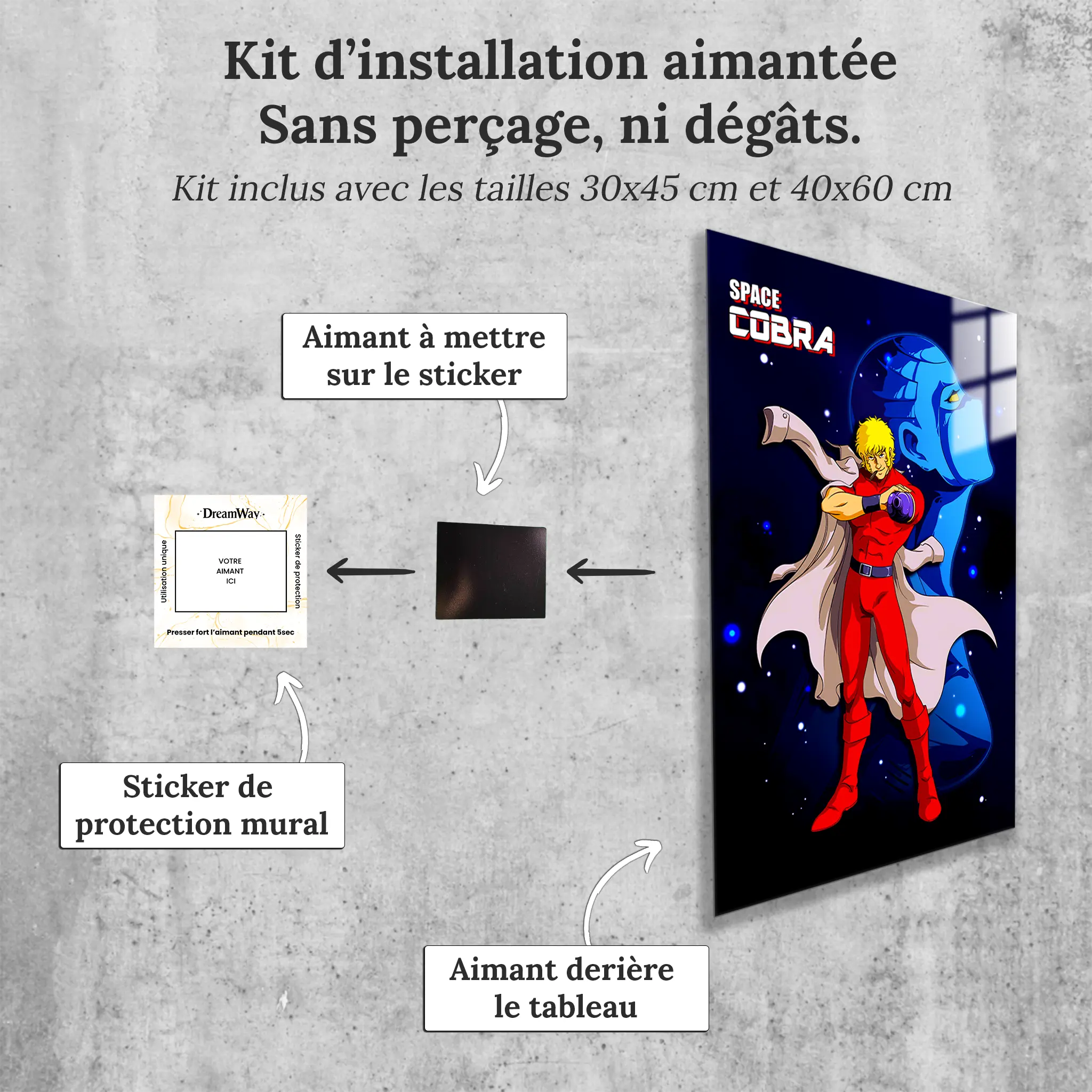 tableau-cobra-et-armanoide-avec-installation-aimantee | DreamWay