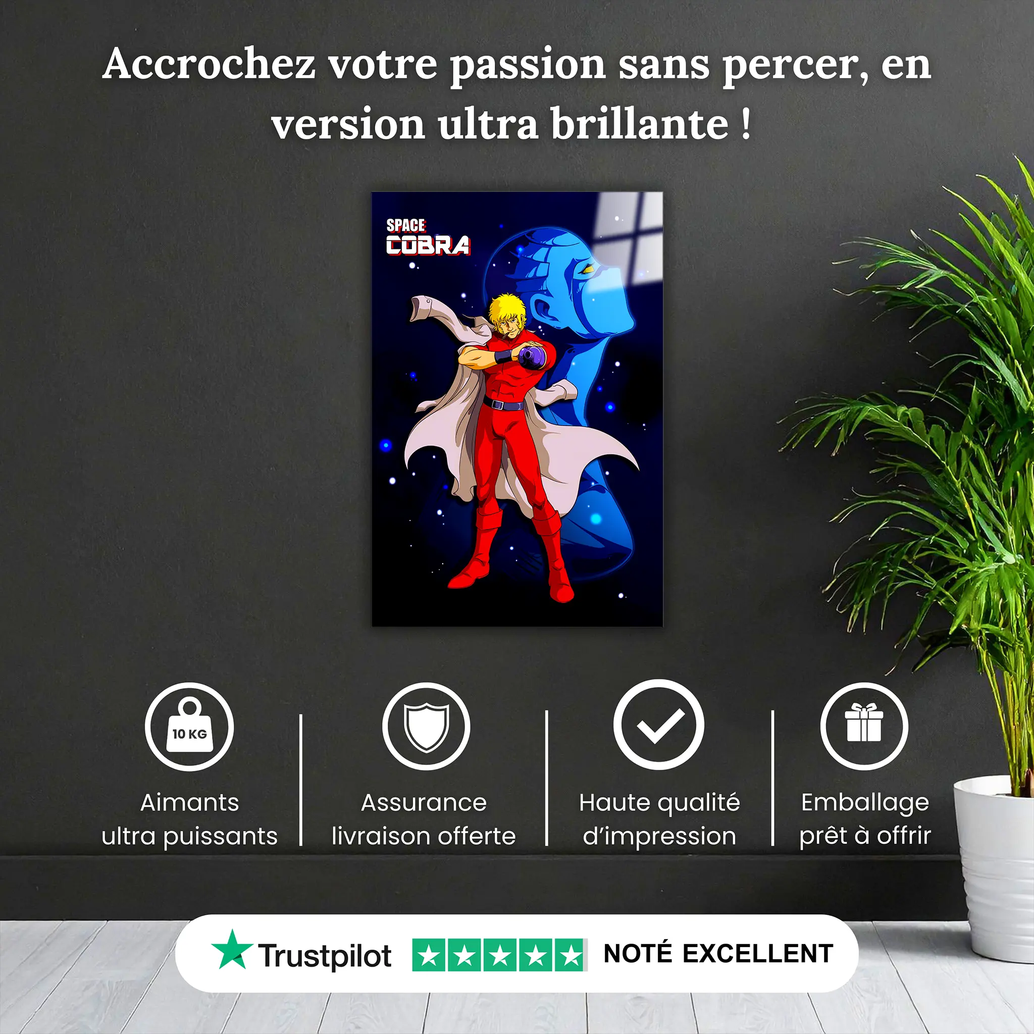 tableau-cobra-et-armanoide-pourquoi-acheter | DreamWay
