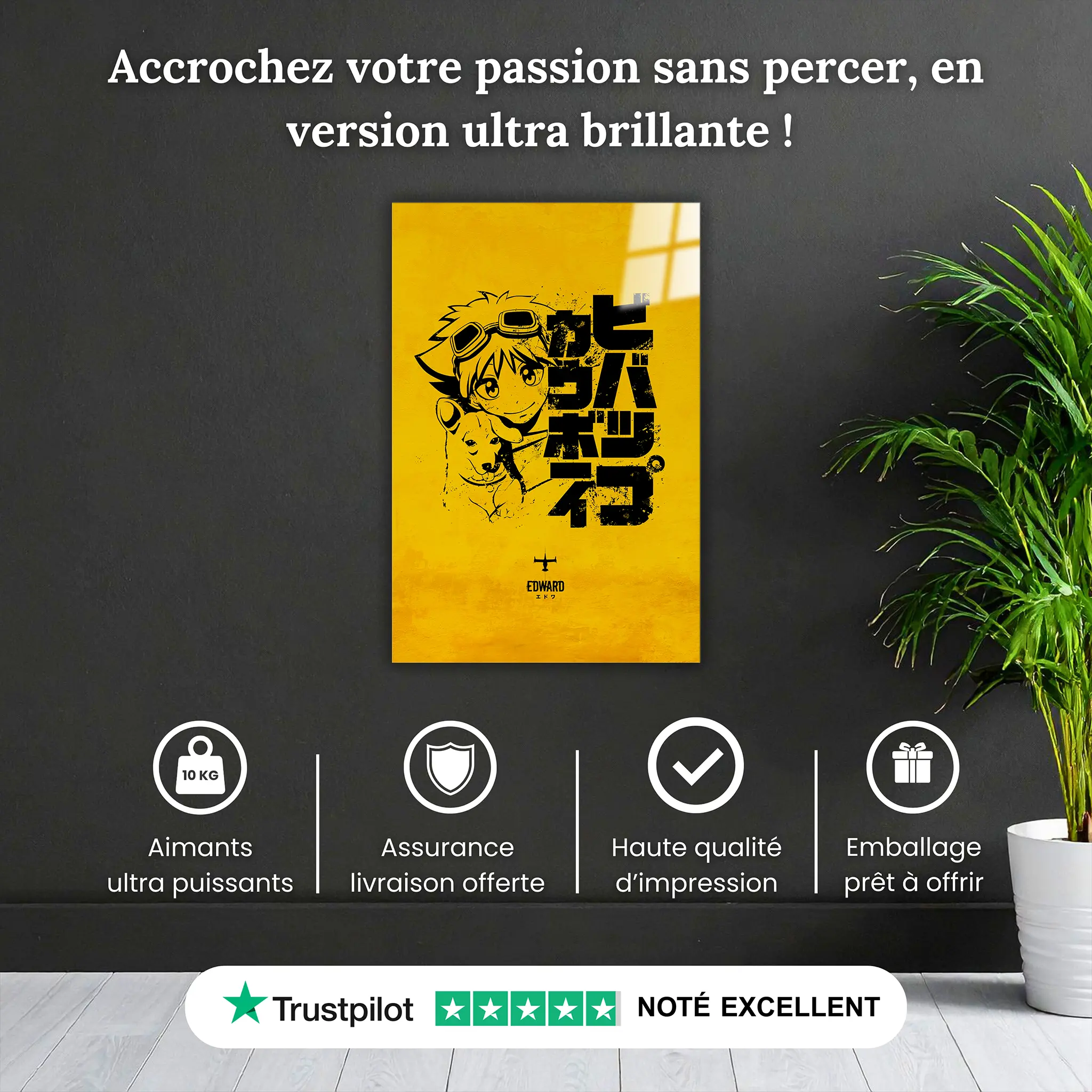 tableau-cowboy-bebop-ed-logo-pourquoi-acheter | DreamWay