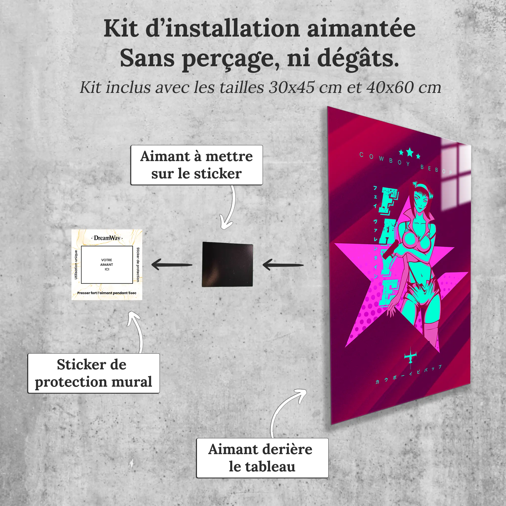 tableau-cowboy-bebop-faye-avec-installation-aimantee | DreamWay