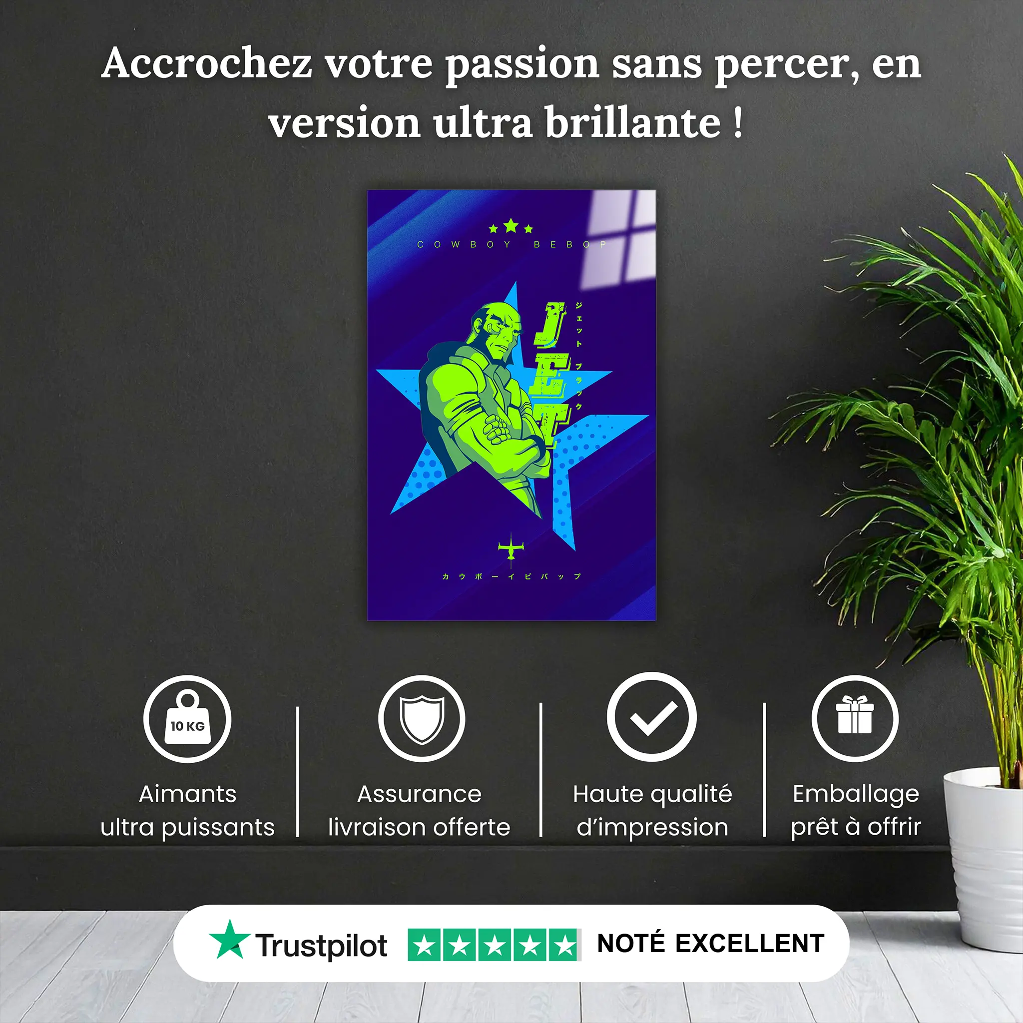 tableau-cowboy-bebop-jet-pourquoi-acheter | DreamWay