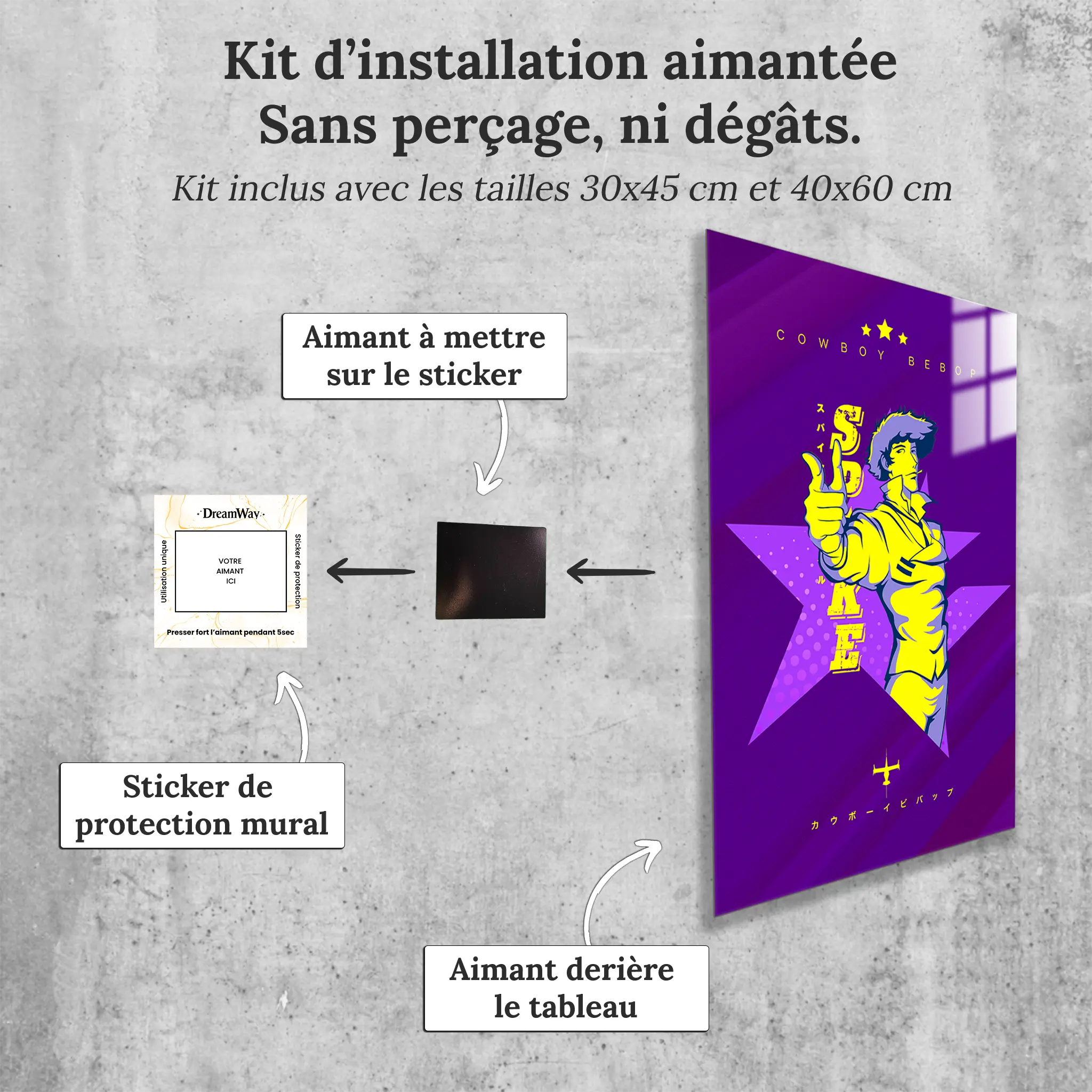 tableau-cowboy-bebop-spike-avec-installation-aimantee | DreamWay