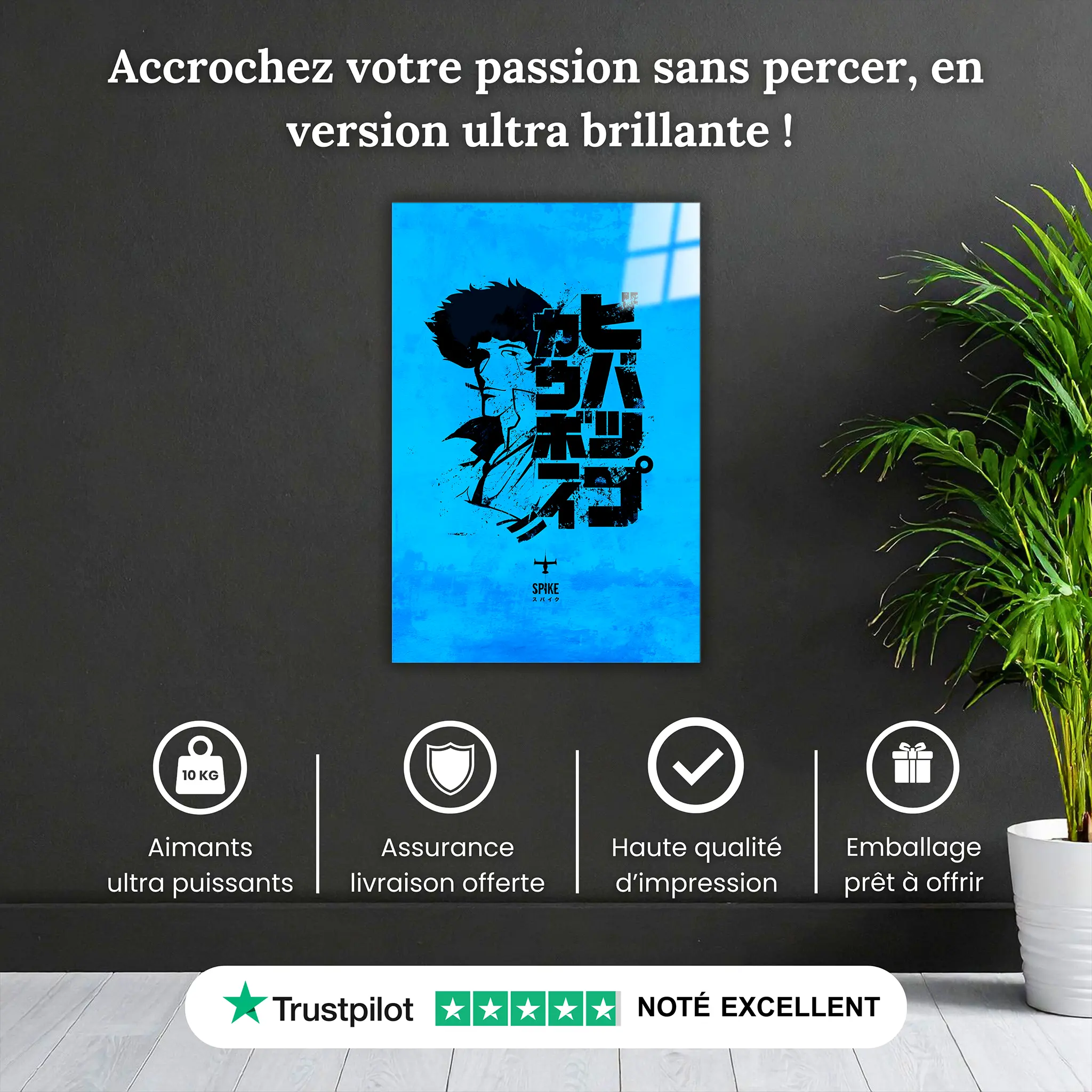 tableau-cowboy-bebop-spike-logo-pourquoi-acheter | DreamWay