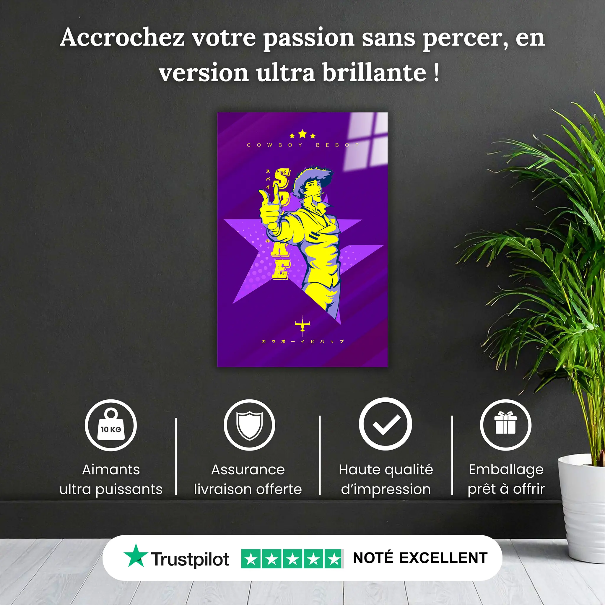 tableau-cowboy-bebop-spike-pourquoi-acheter | DreamWay