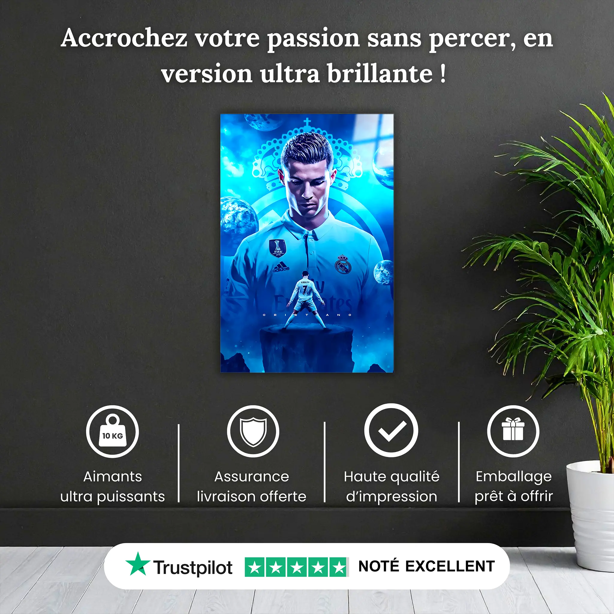 tableau-cristiano-ronaldo-pourquoi-acheter | DreamWay