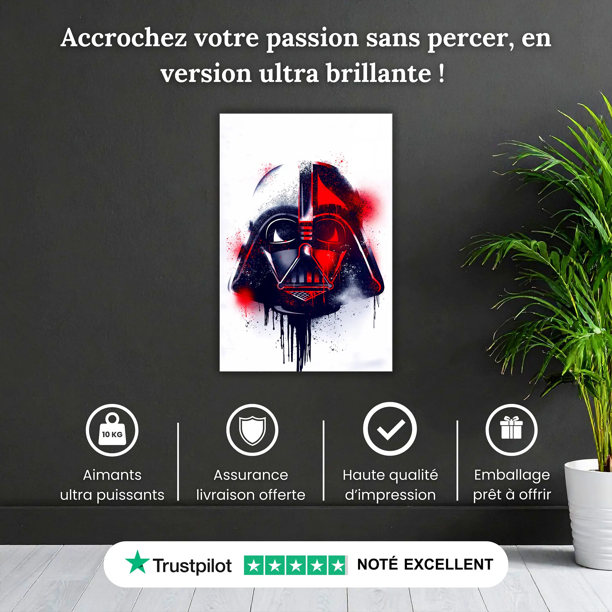 tableau-dark-vador-casque-pourquoi-acheter | DreamWay