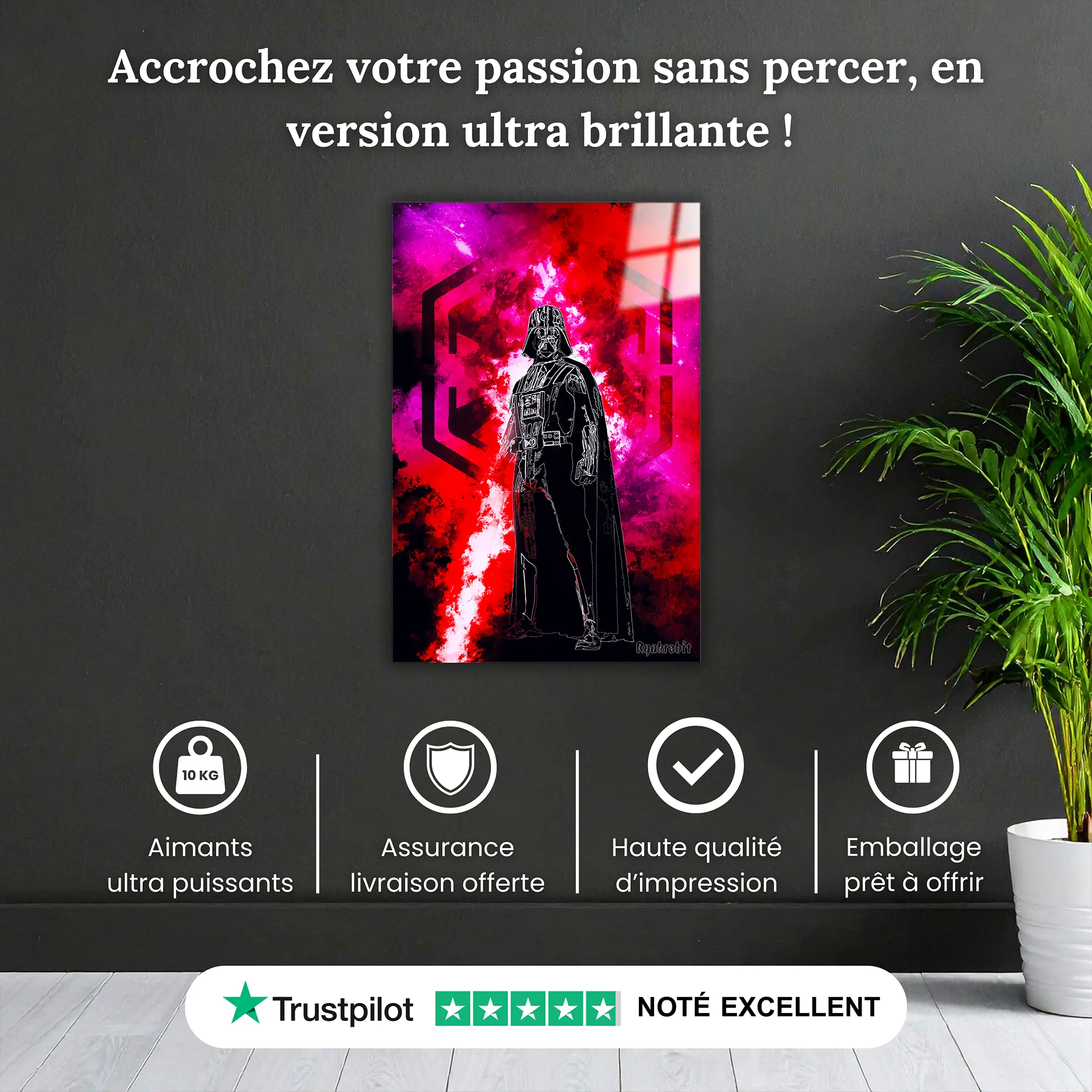 tableau-dark-vador-colore-pourquoi-acheter | DreamWay