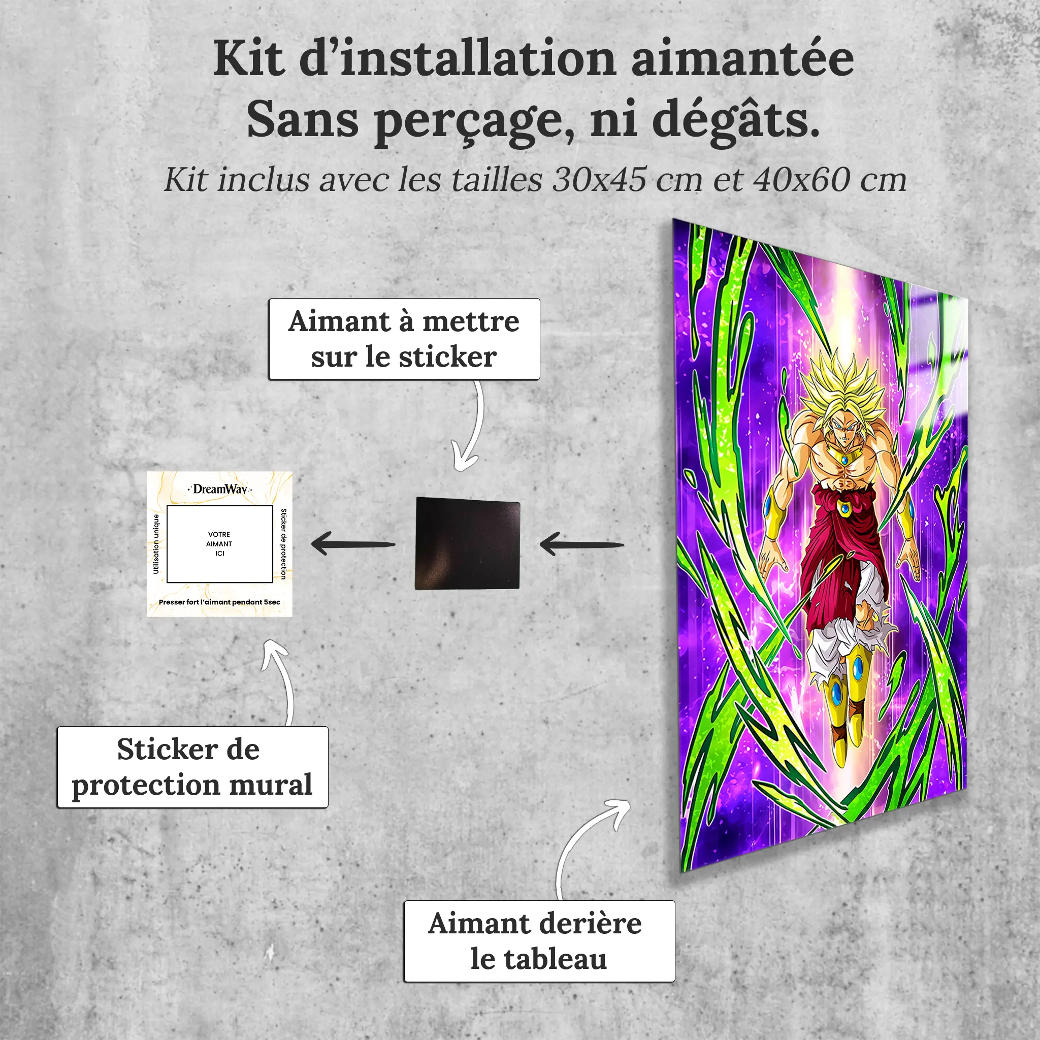 Tableau DBS Guerrier Saiyan Broly