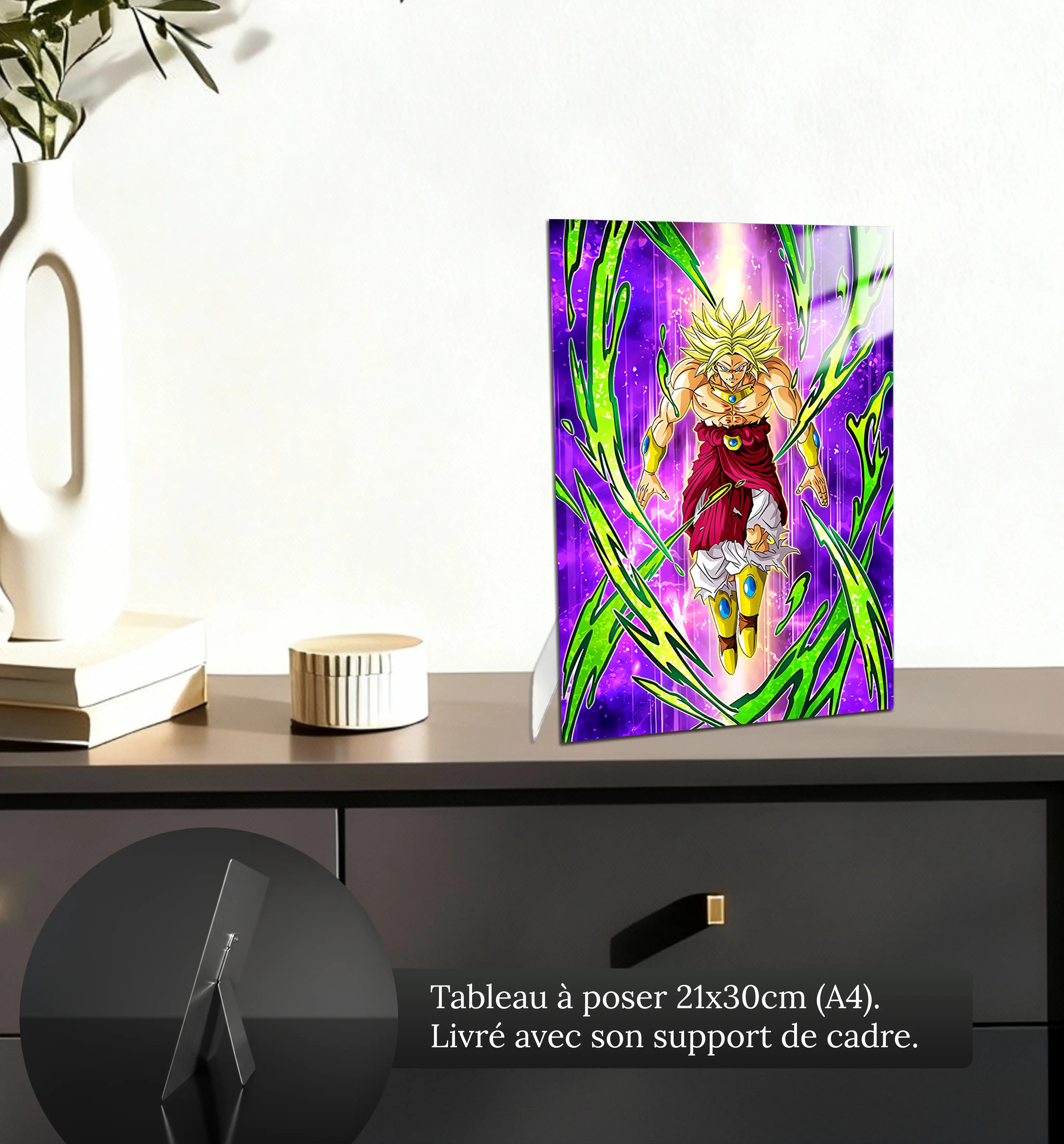 Tableau DBS Guerrier Saiyan Broly