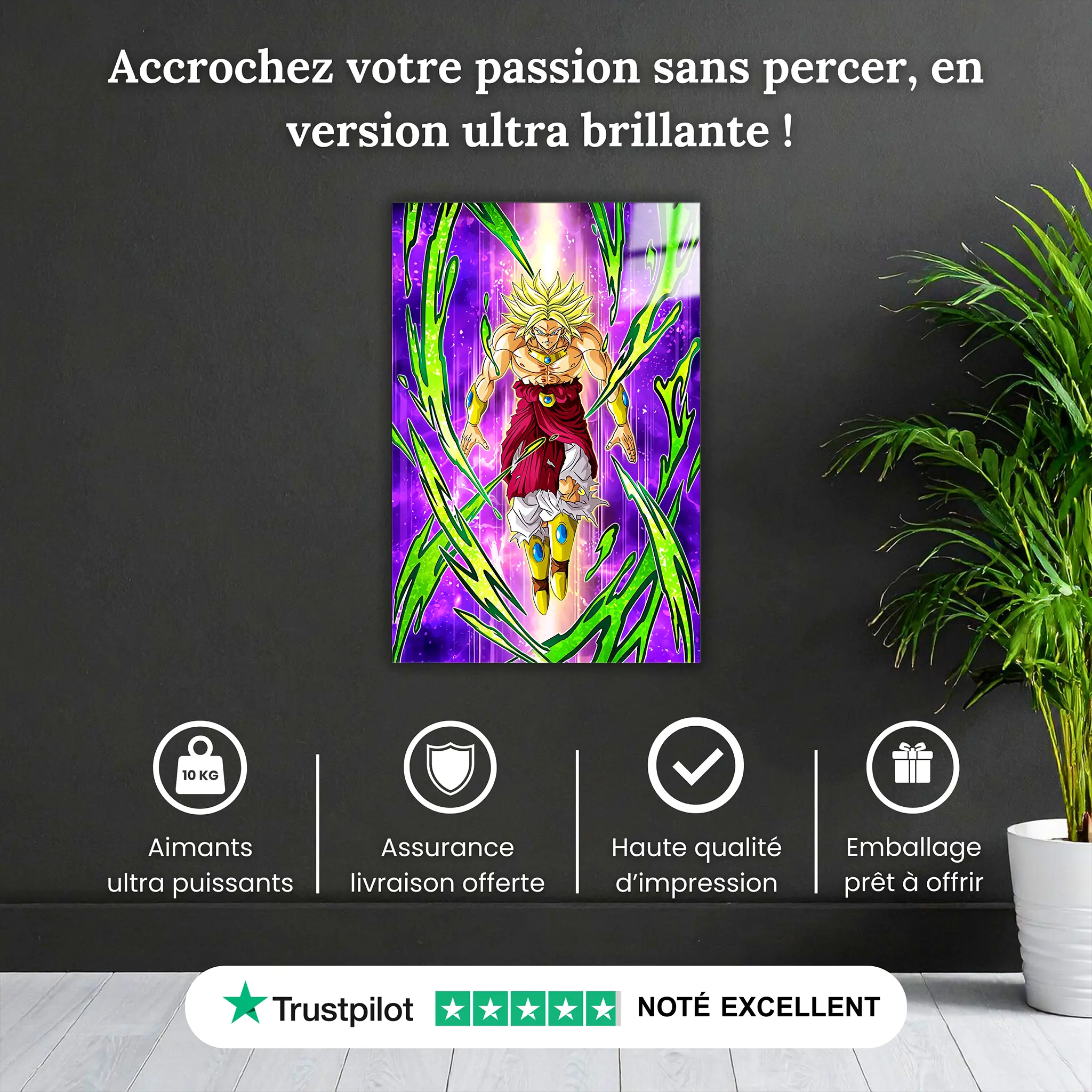 Tableau DBS Guerrier Saiyan Broly