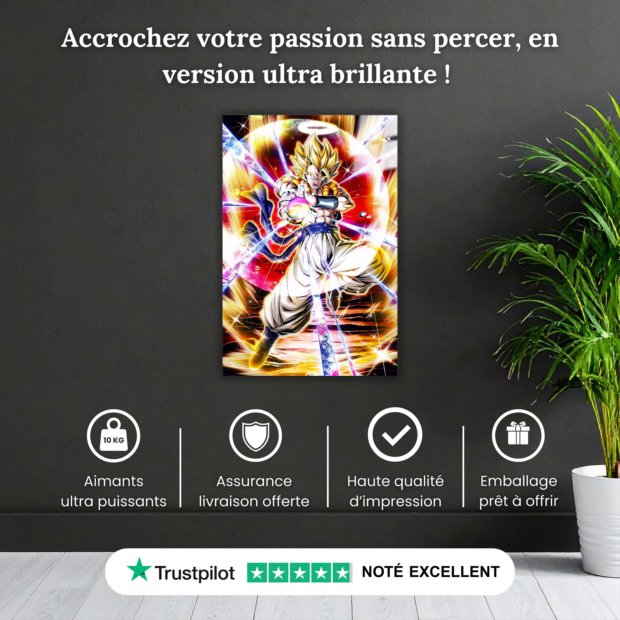 tableau-dbz-gogeta-attaque-pourquoi-acheter | DreamWay