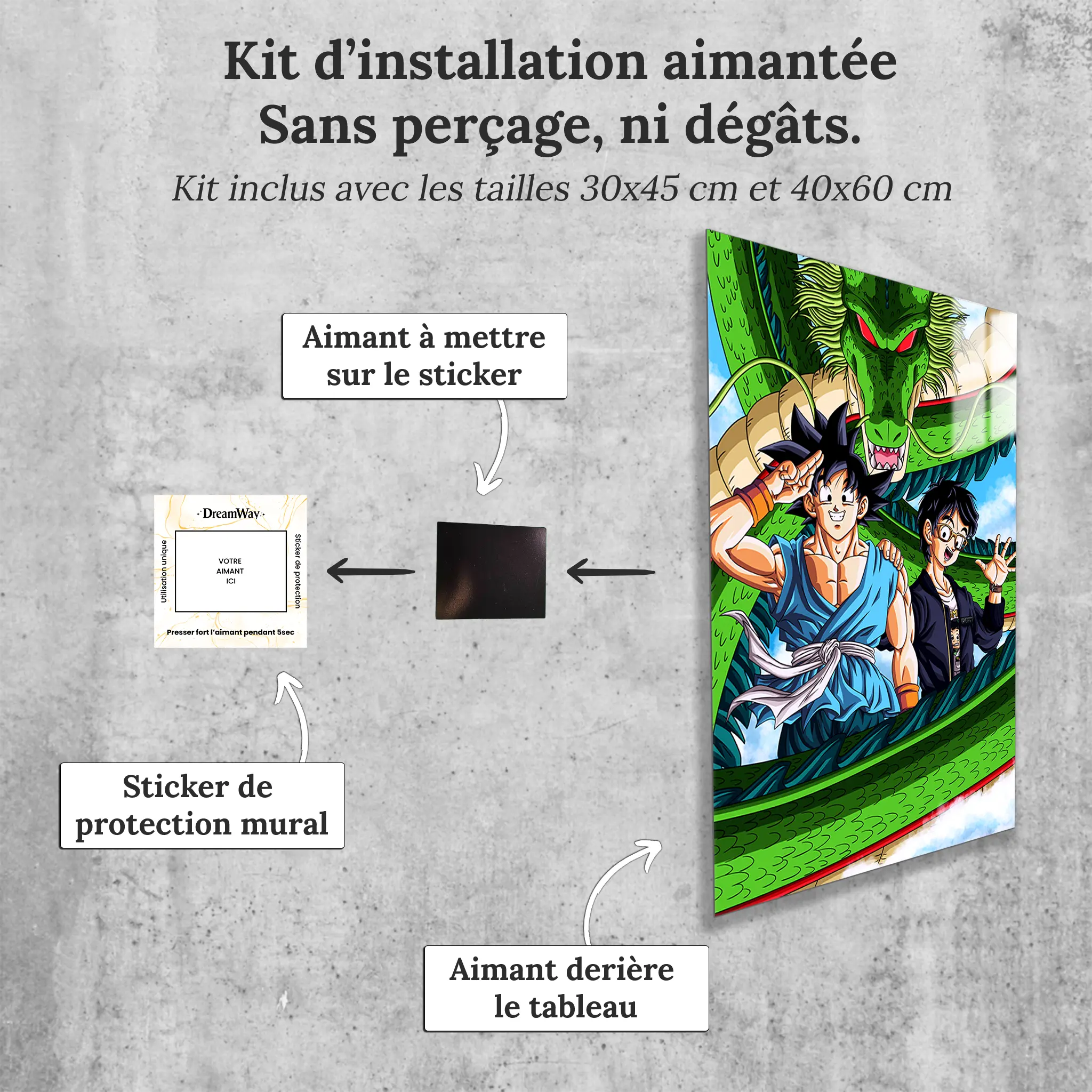 tableau-dbz-goku-et-toriyama-avec-installation-aimantee | DreamWay