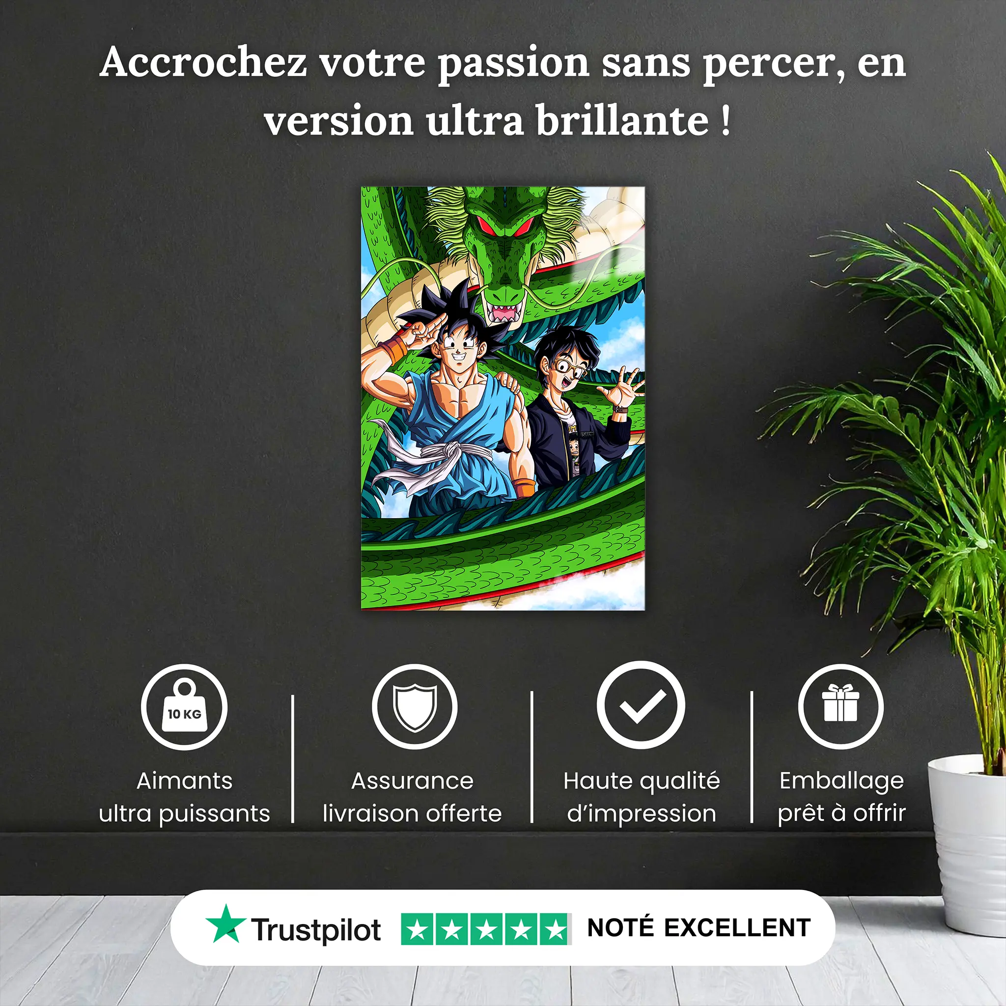 tableau-dbz-goku-et-toriyama-pourquoi-acheter | DreamWay